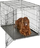 New World 42 Inch Folding Dog Crate for Large Breeds 71-90 lbs - Single Door, Leak-Proof Pan, Secure Latch, Easy Storage