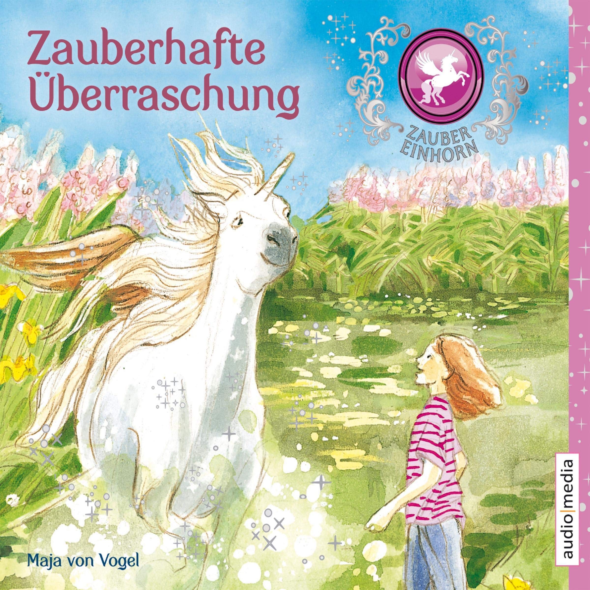 Cover art for Zauberhafte Überraschung