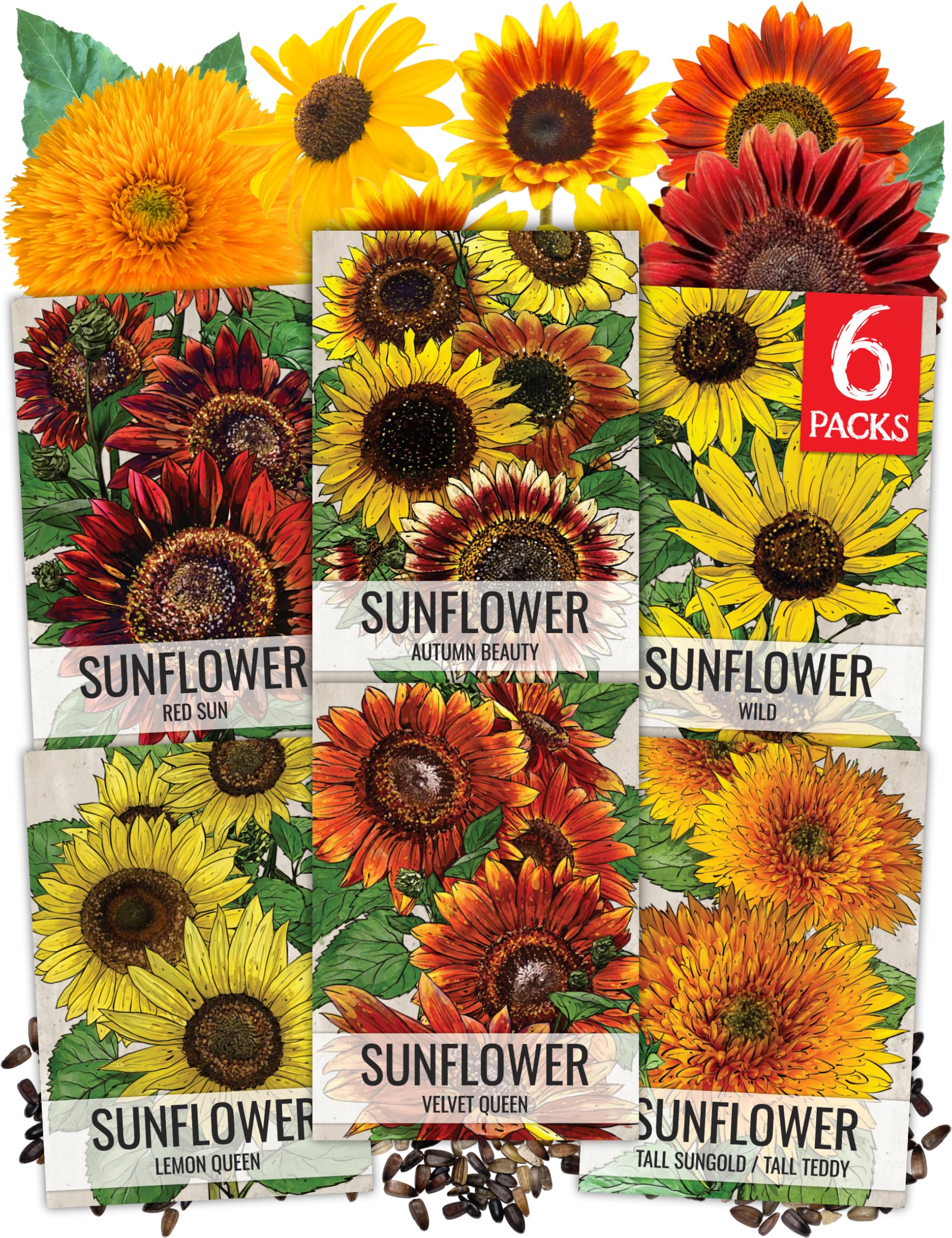 Amazon.com : Seed Needs Sunflower Seeds Variety Pack of 6 Flowers