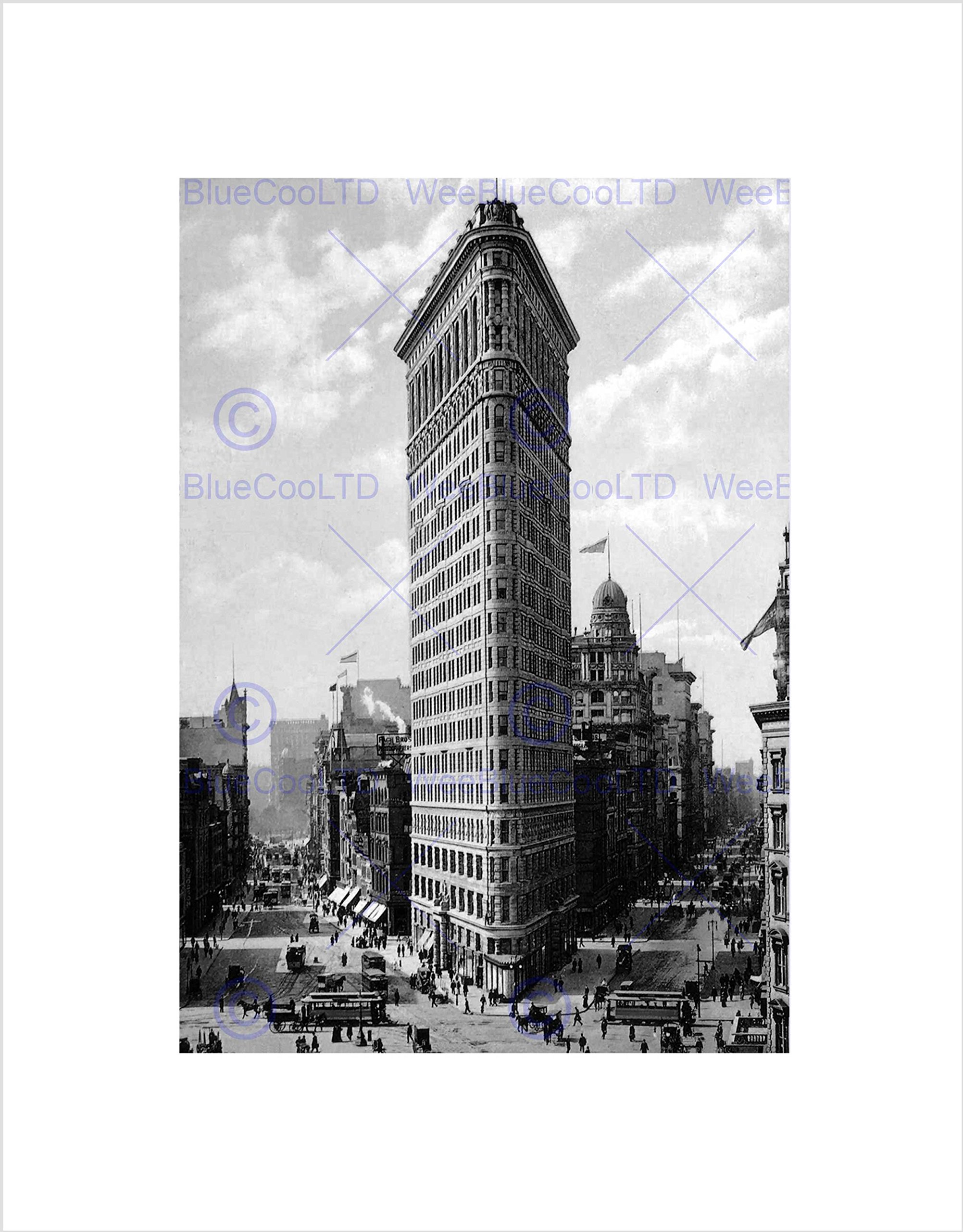Wee Blue Coo Flat Iron Building Ny 1903 Vintage History Old BW Wall Art Print