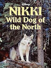 Nikki, Wild Dog of the North