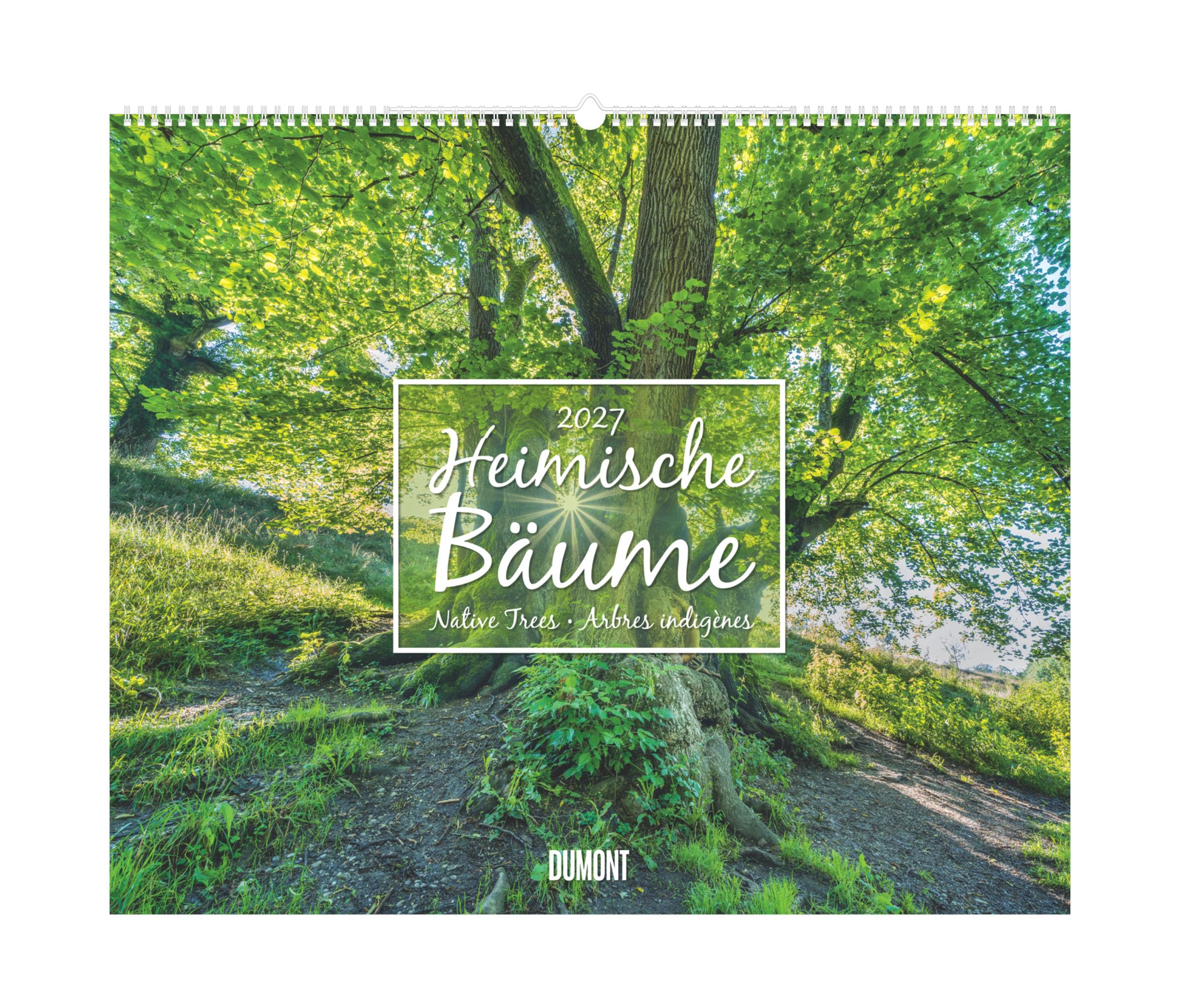 Heimische Bäume 2027: Wandkalender 60x50 cm mit Naturfotografie und 3-sprachigem Kalendarium