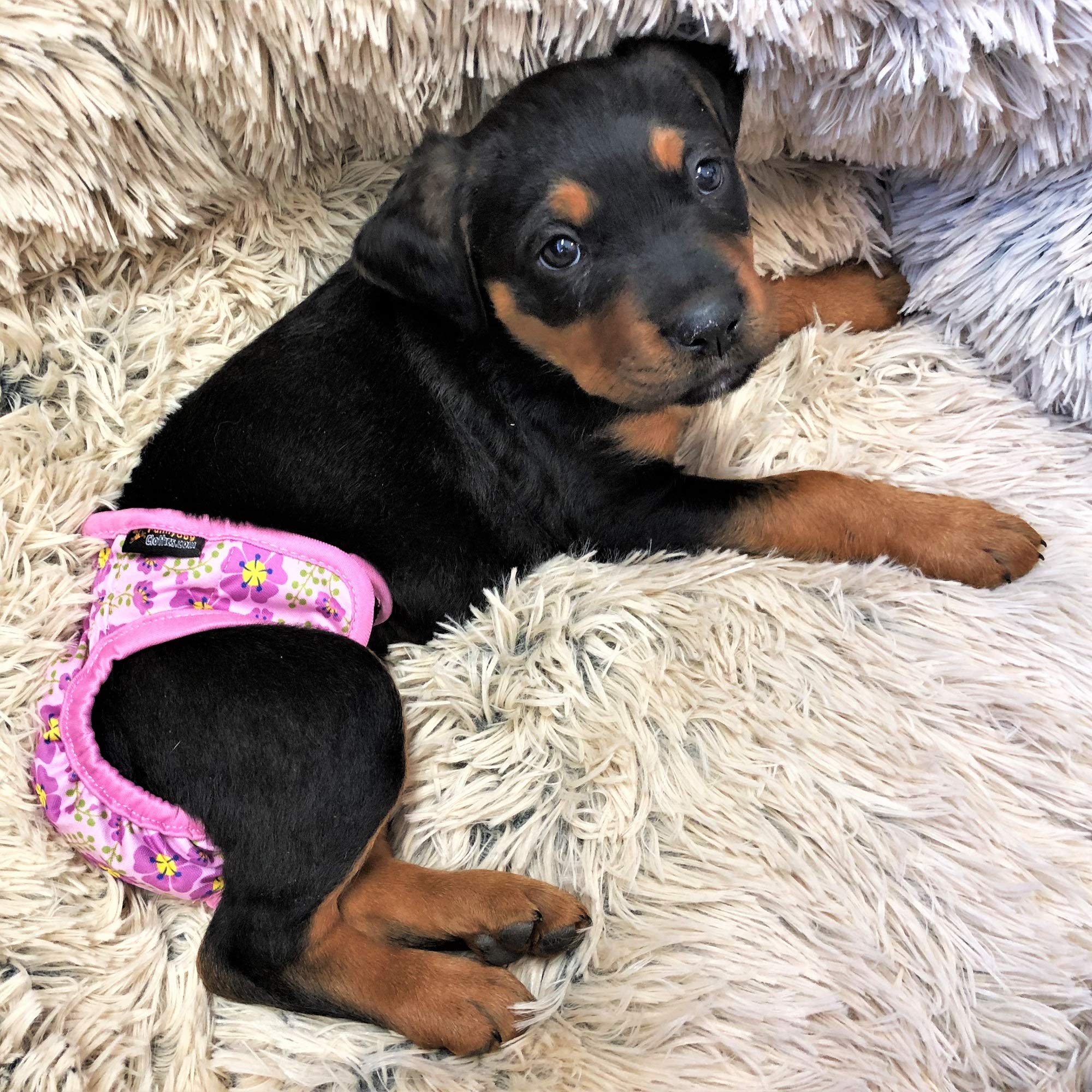 Opakowanie 3 pieluch dla kobiet z 4 warstwami chłonnych wkładek majtki dla kotów wodoodporne szczelne nadające się do prania (S: talia 30 cm - 40 cm, neonowy wzór)