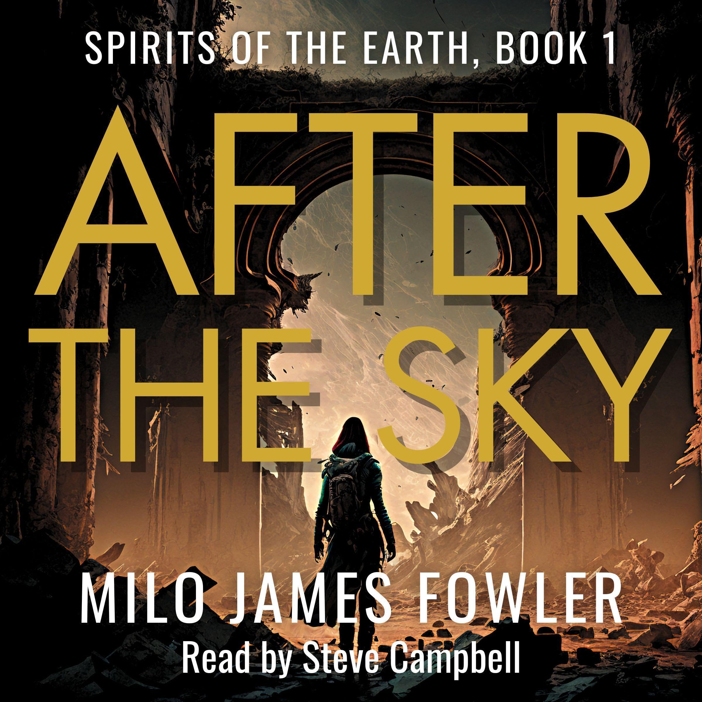 Cover art for After the Sky