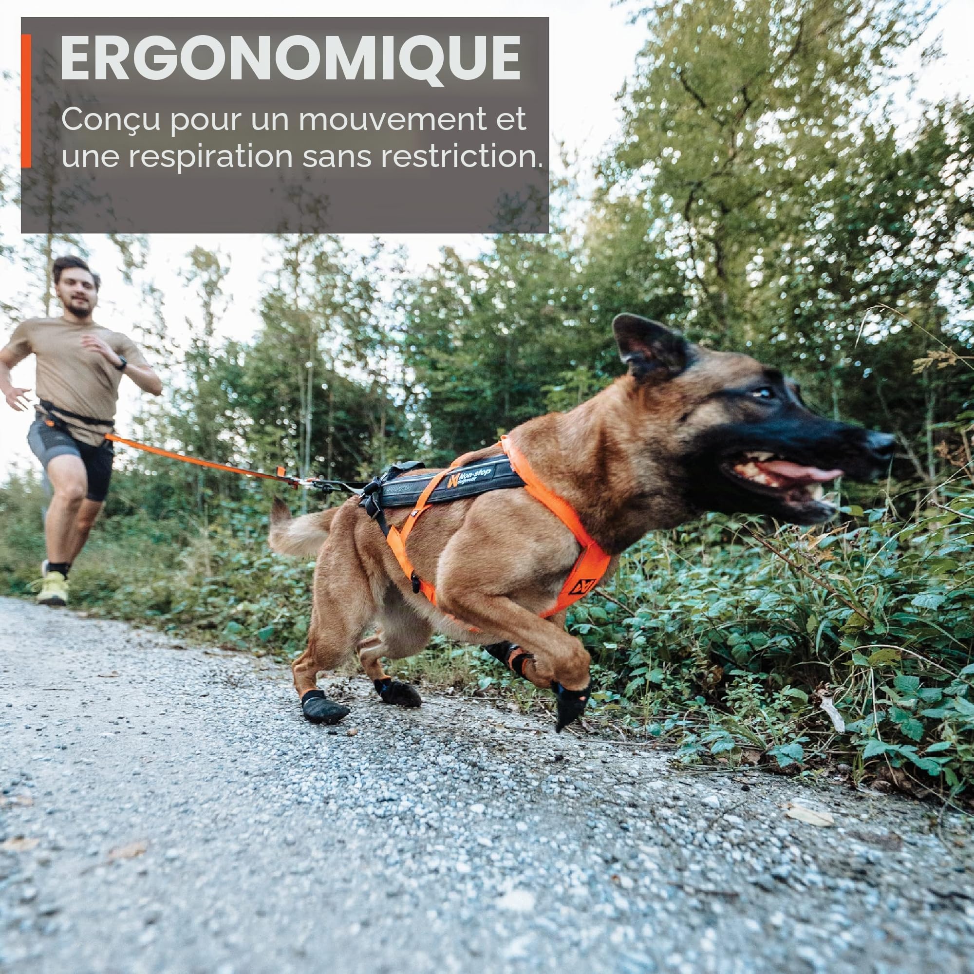Non-stop dogwear Freemotion Harness 5.0 est Un Harnais de Traction pour Chien pour Les Sports comme la Course, Le vélo et Le Ski avec Les Chiens, Harnais Professionnel réglable. Orange/Noir, Taille 4