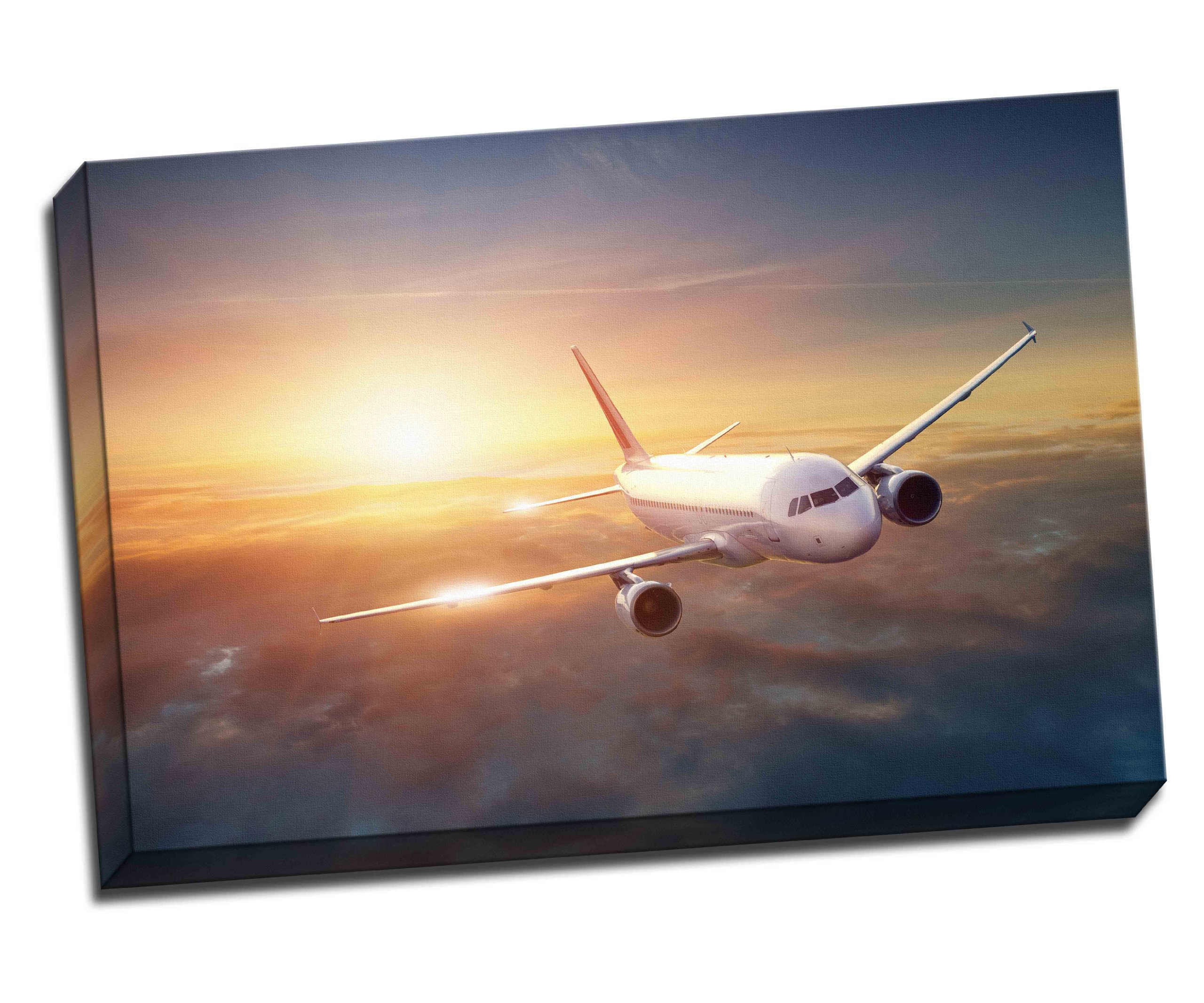 Panther Print Warm, Vibrant Colors Airplane In The Sky At Sunset Canvas Art Print Poster 30"X 20" Inches