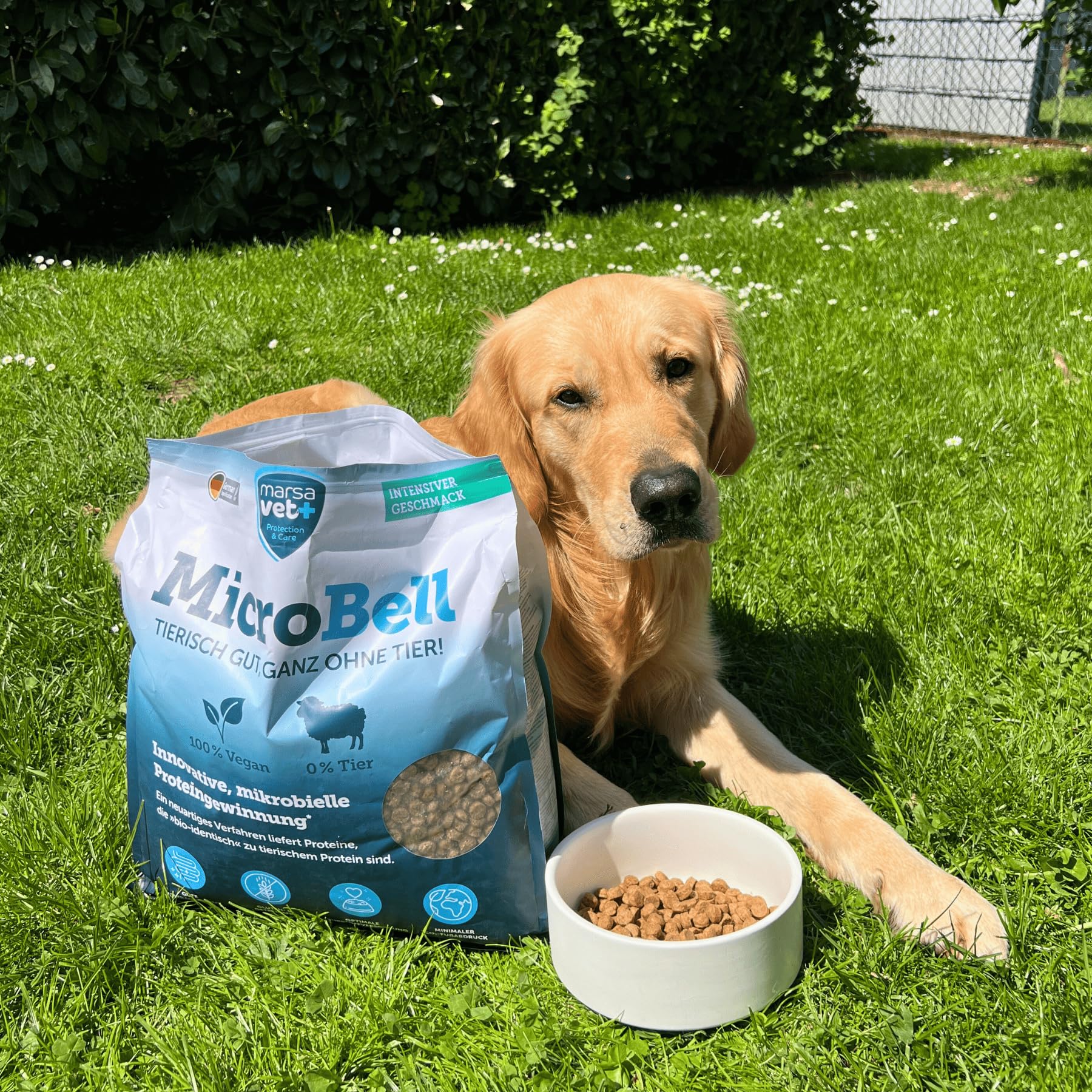 Marsavet sucha karma MicroBell – 4 kg, monoproteinowa karma dla psów z białkami mikrobiologicznymi, odpowiednia dla wegetarian, alergików i wrażliwych psów, bez glutenu i zbóż.