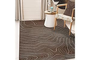 Neutral Rugs for Living Room 8x10: Superior Indoor Area Rug