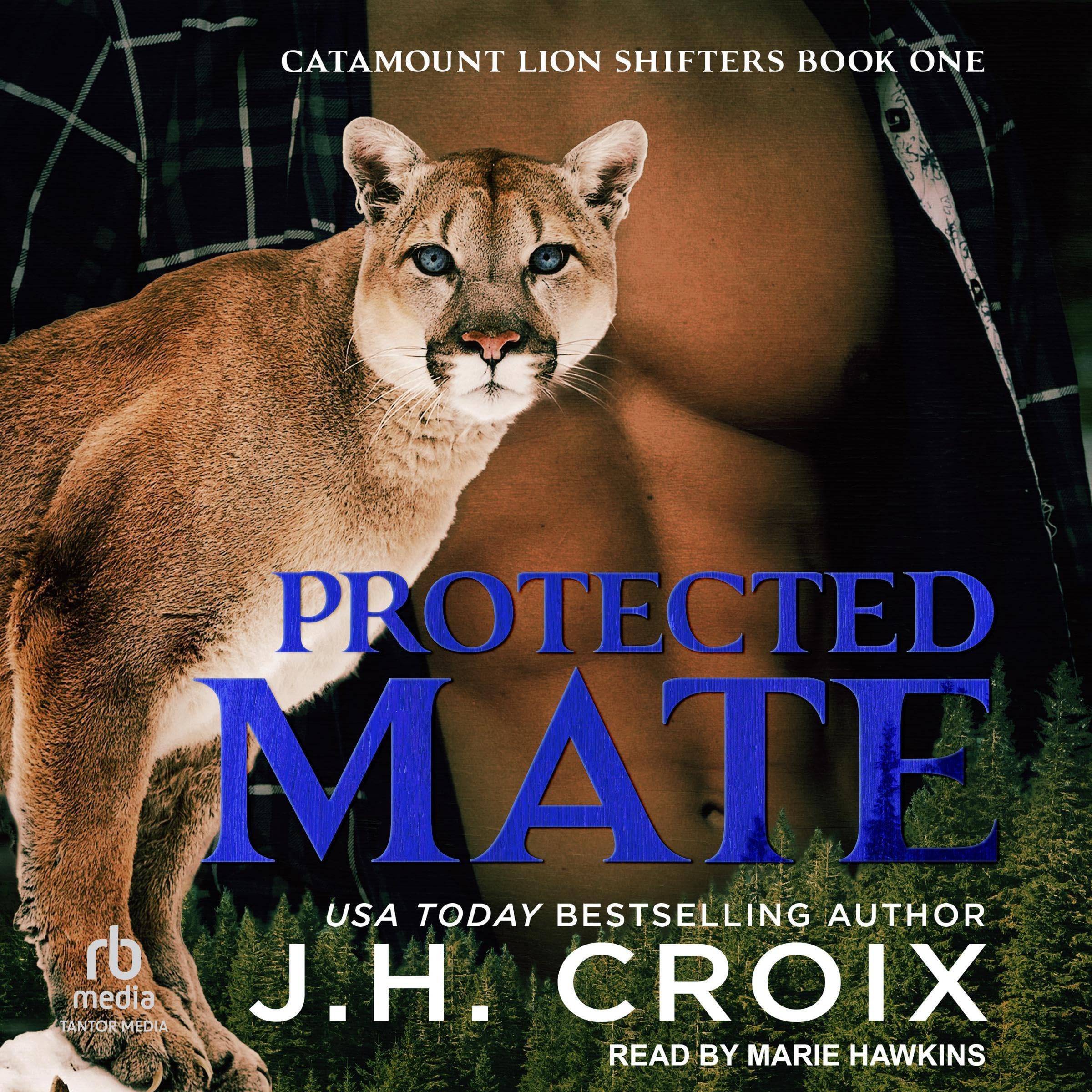 Cover art for Protected Mate