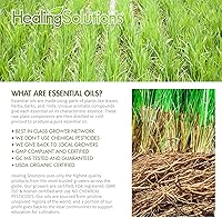 Vista 155 de Aceite esencial de abedul 100% puro, grado terapéutico, aceite de abedul, 10 ml