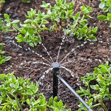 Raindrip 156005B Adjustable Flow Bubbler, Non-Pressure Compensating Emitter, Full-Circle Pattern, 8 Stream Spray, with 1/4-Inch Barbed Inlet on 5-Inch Stake, 5-Pack, Black
