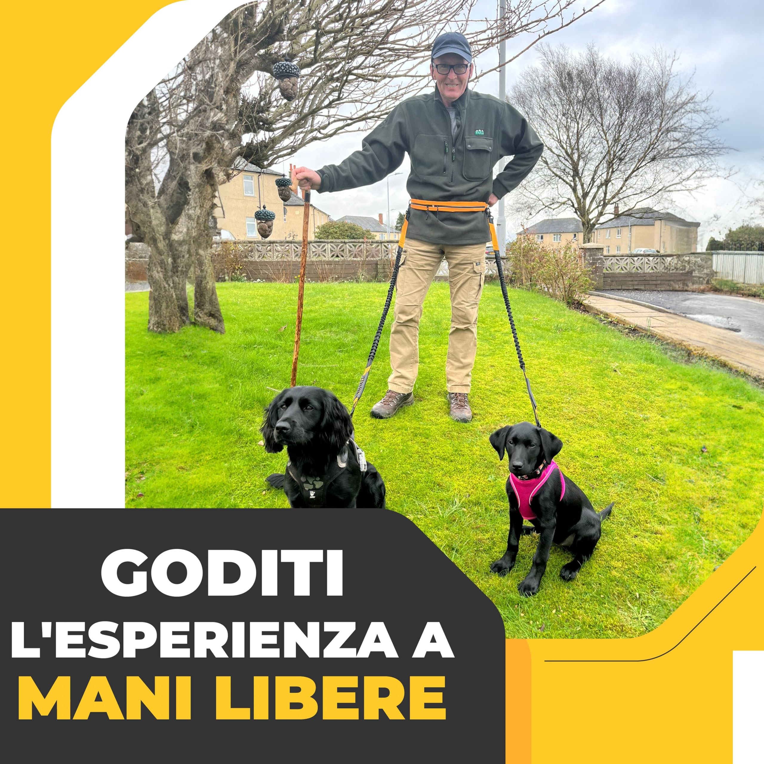 Guinzaglio Mani Libere per Cani - Da Corsa, Cintura Dog Trekking/Jogging, Canicross Fino a 60 Kg