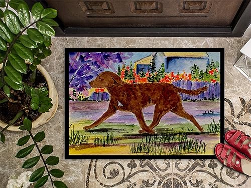 Miniatura 4 de Caroline's Treasures SS8435MAT - Tapete Chesapeake Bay Retriever de 18 x 27 pulgadas, para interiores y exteriores, para entrada, antideslizante,