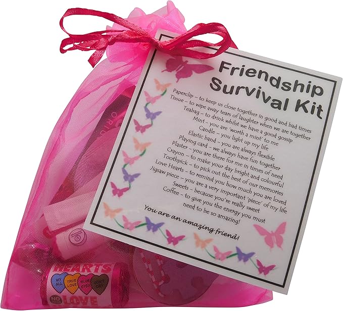SMILE GIFTS UK Friendship Survival Kit Novelty Gift for a Friend