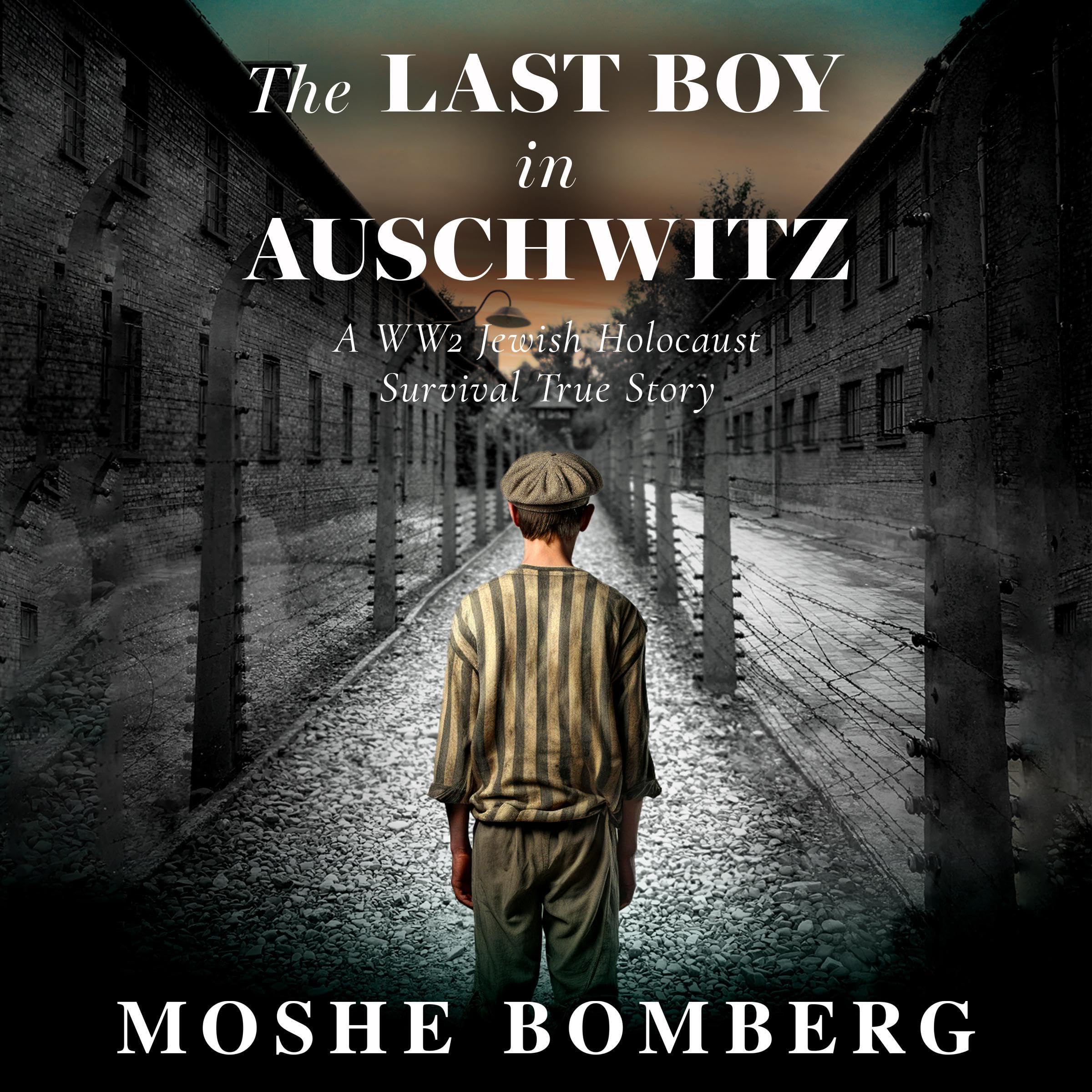 Cover art for The Last Boy in Auschwitz
