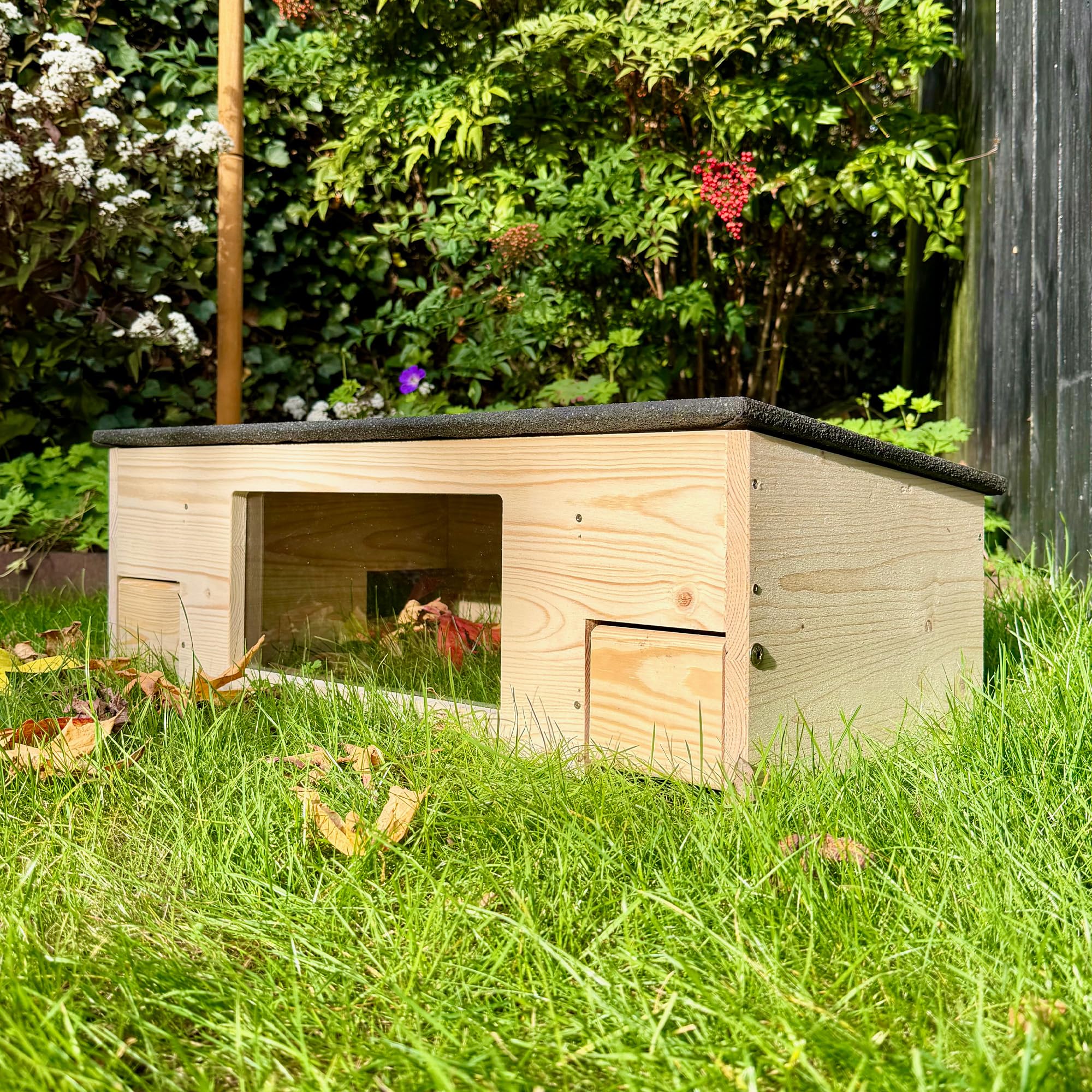 GARTENETAGE Igelfutterhaus XXL mit Panorama-Beobachtungsfenster, Rattenklappen & Fluchtweg – wetterfestes Igelhaus aus zertifiziertem Holz – nachhaltiger Schutz & Beobachtung im Garten