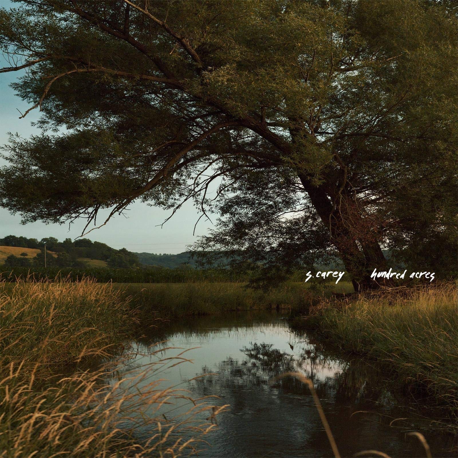S. Carey Hundred Acres LP Vinyl JAG311LP NEW
