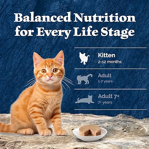 Miniatura 9 de Blue Buffalo Wilderness Kitten Food, paté de comida húmeda para gatos con alto contenido de proteínas y sin granos, recetas de pollo y salmón, latas