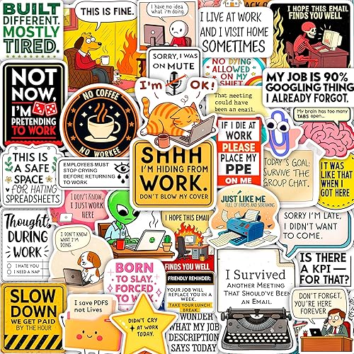 Vista 101 de BulbaCraft 100 calcomanías de meme de gato, divertidas calcomanías de gato, regalos para mujeres y hombres Gato Meme