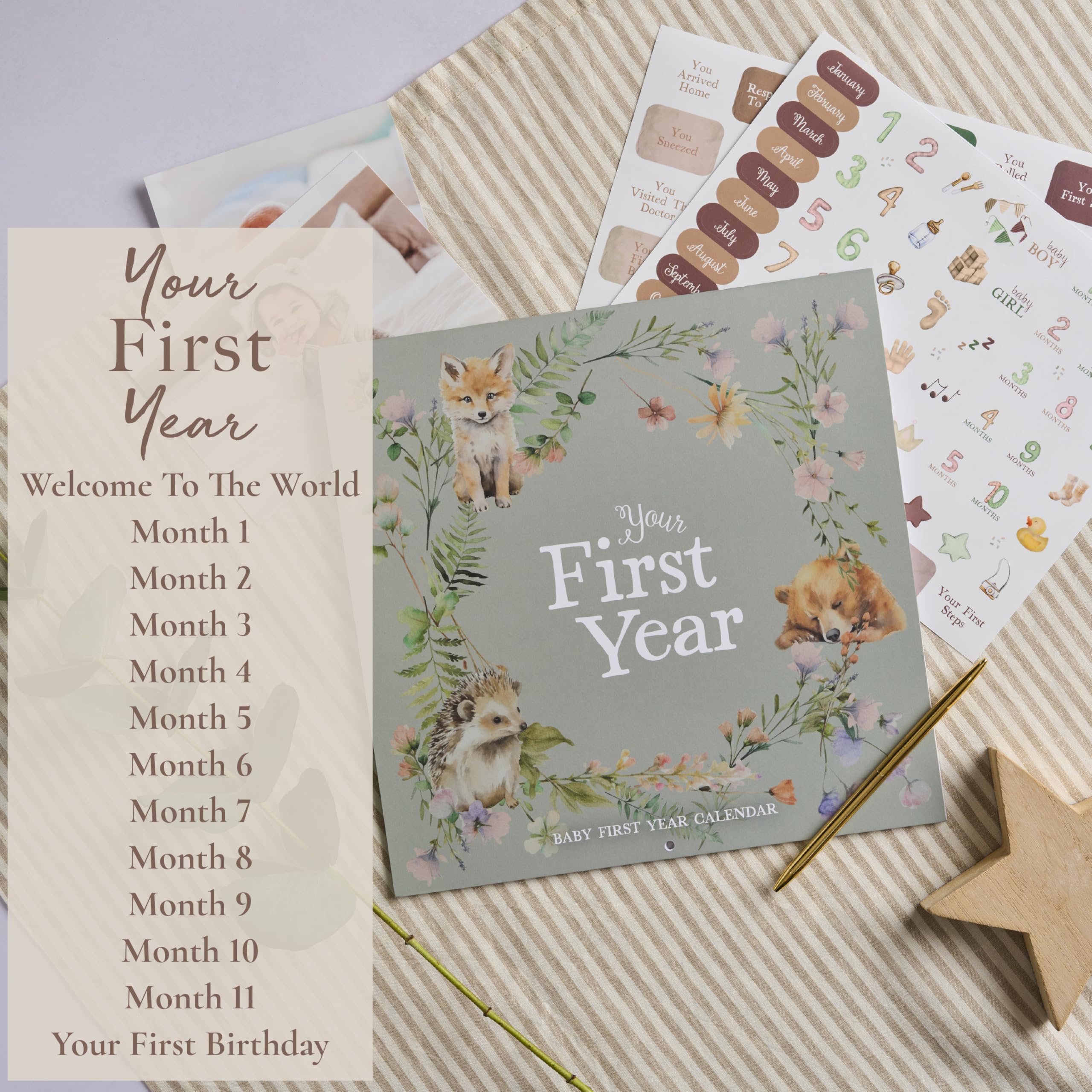 Baby erstes Jahr Kalender mit 100 Aufklebern - Waldtiere 1. Jahre Wandkalender mit Aufklebern, Baby Tracker, Baby Scrapbook für neue Mutter und Neugeborene Jungen & Mädchen