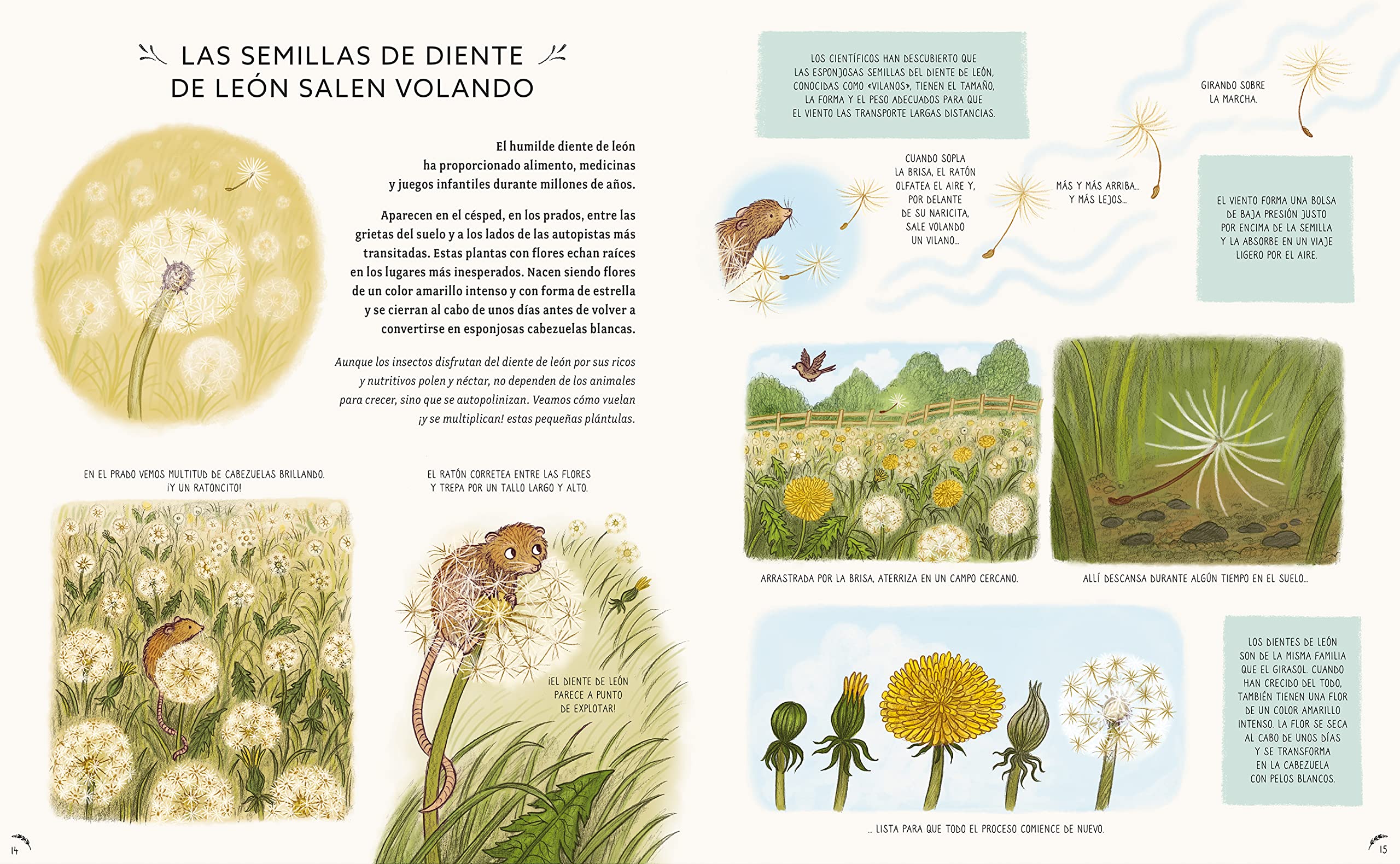 Con calma, aquí y ahora: Más historias de la naturaleza