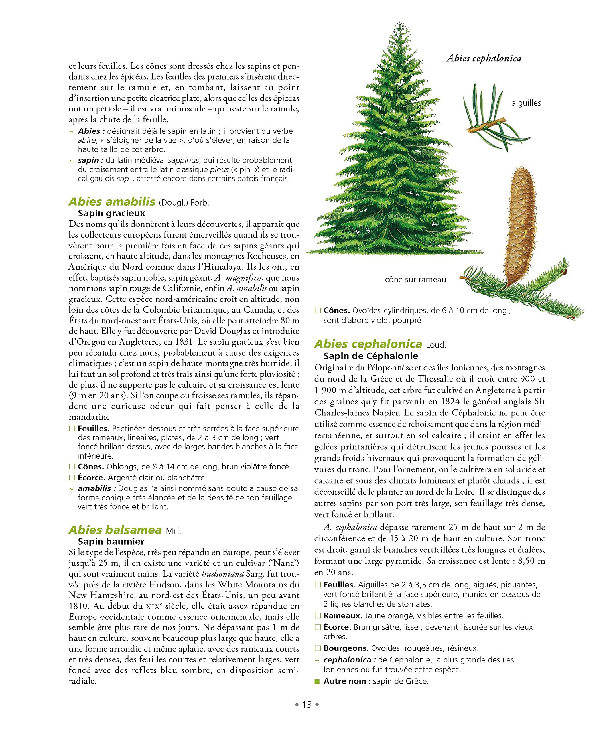 Le Grand Larousse des arbres
