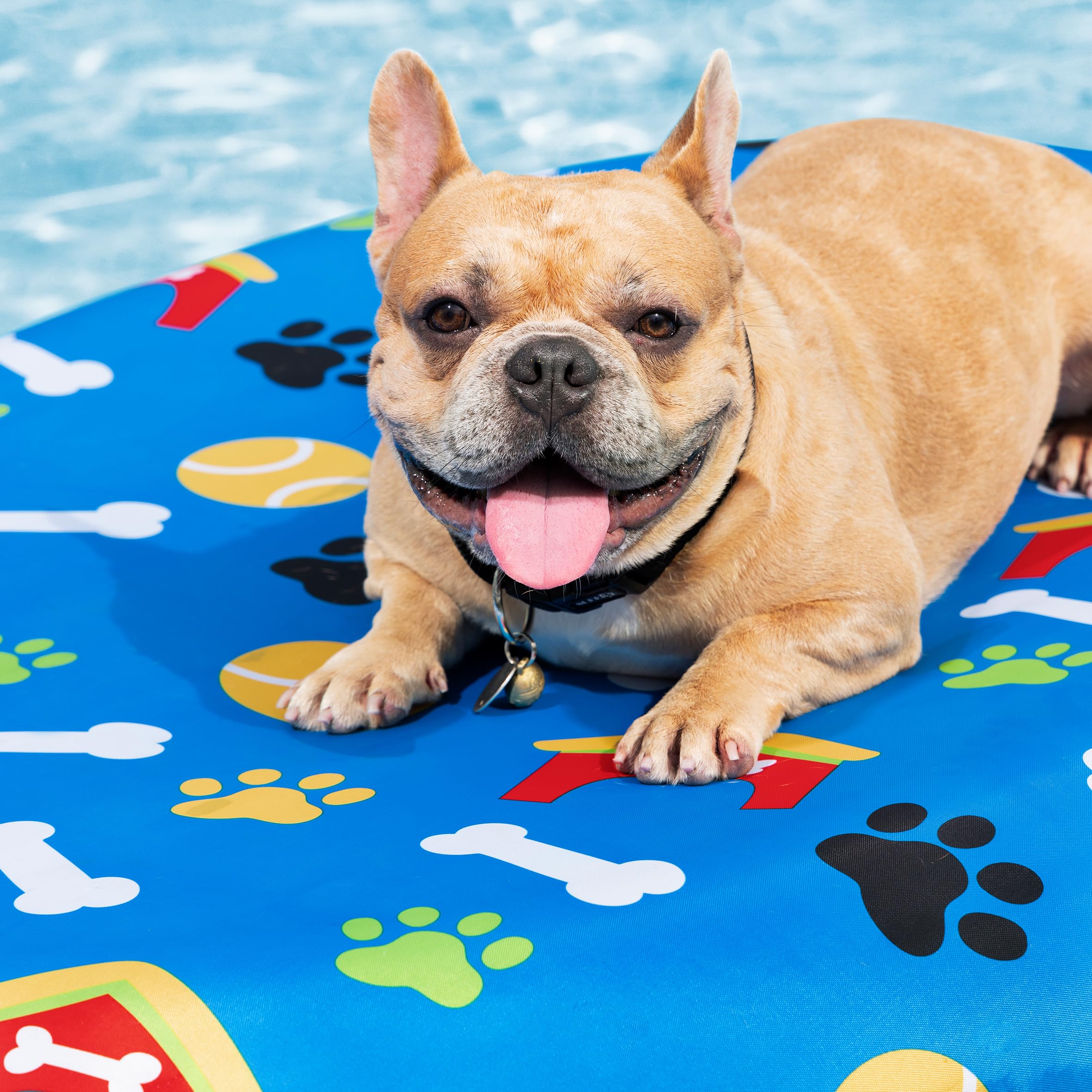 Bestway 43849 Materassino da piscina per cani Fetchin' Fun da 142x95 cm