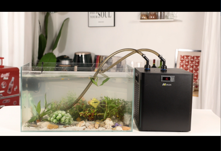 Amazon.com: Ezcasch Aquarium Chiller, 79 gal 1/3 HP 300L Water