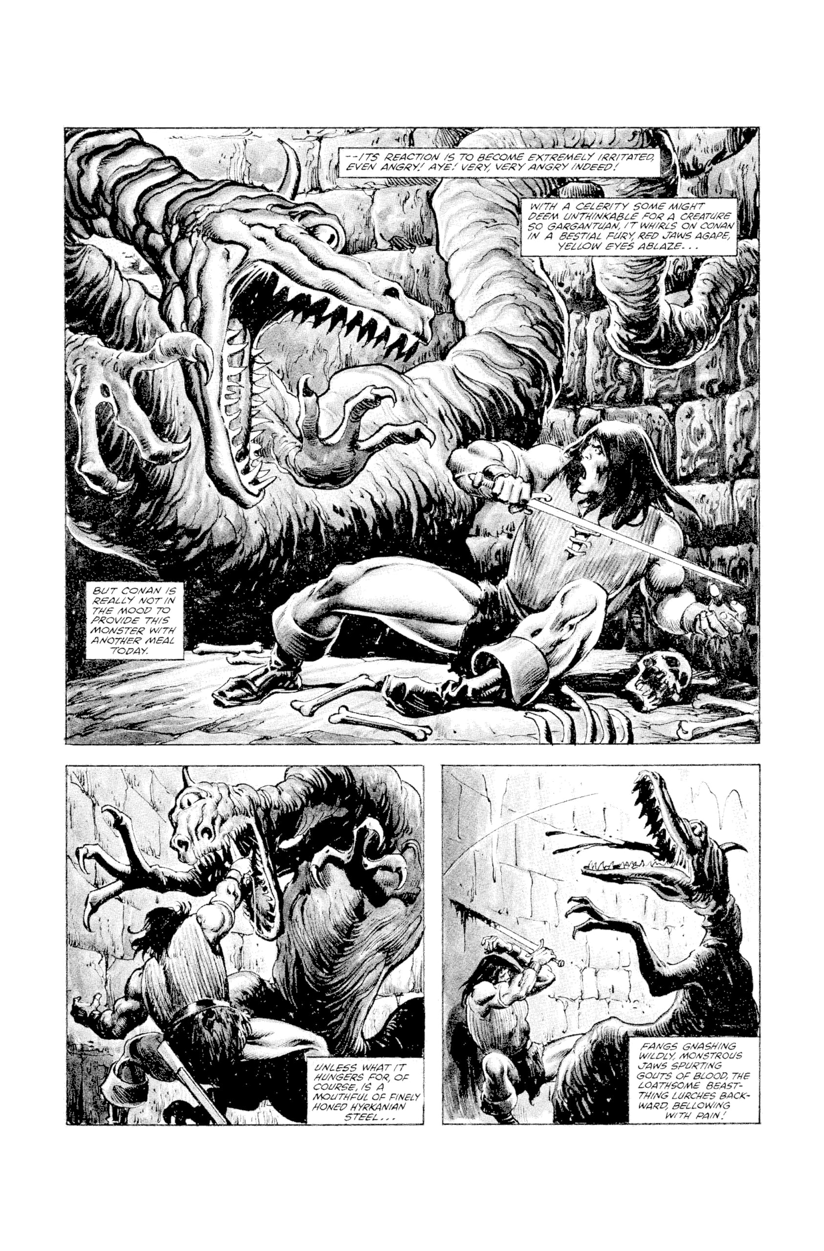 The Savage Sword of Conan the Original Comics Omnibus 6