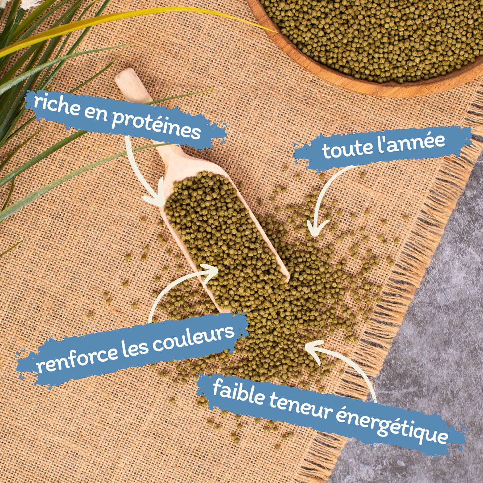 Lyra Pond® 2 x 10 L (7,36 kg) Koi Beauty Pellets Staple Poissons Bassin | Intensifie les couleurs des poissons | Riche en protéines, farine d’insectes & spiruline | Faible énergie