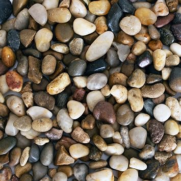 2 lbs Approx. 200 River Rocks Stones for Plants Pebbles for Indoor Plants | Aquarium Fish Tank Rocks | Polished Decorative Rocks for Vases 0.3-0.6 Inches