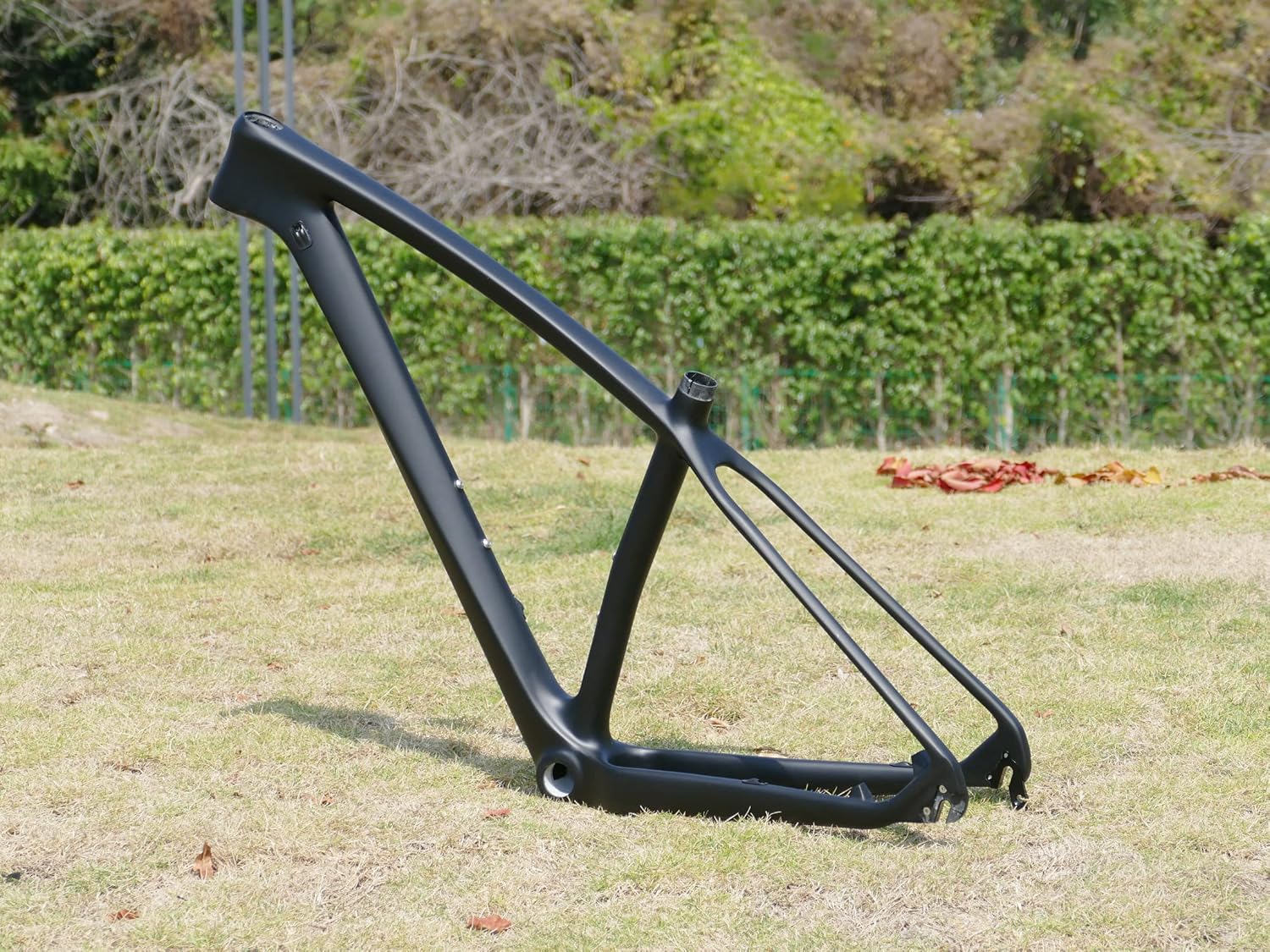 x-goods Full Carbon Matt 29er Mountain Bike MTB Kenya Ubuy