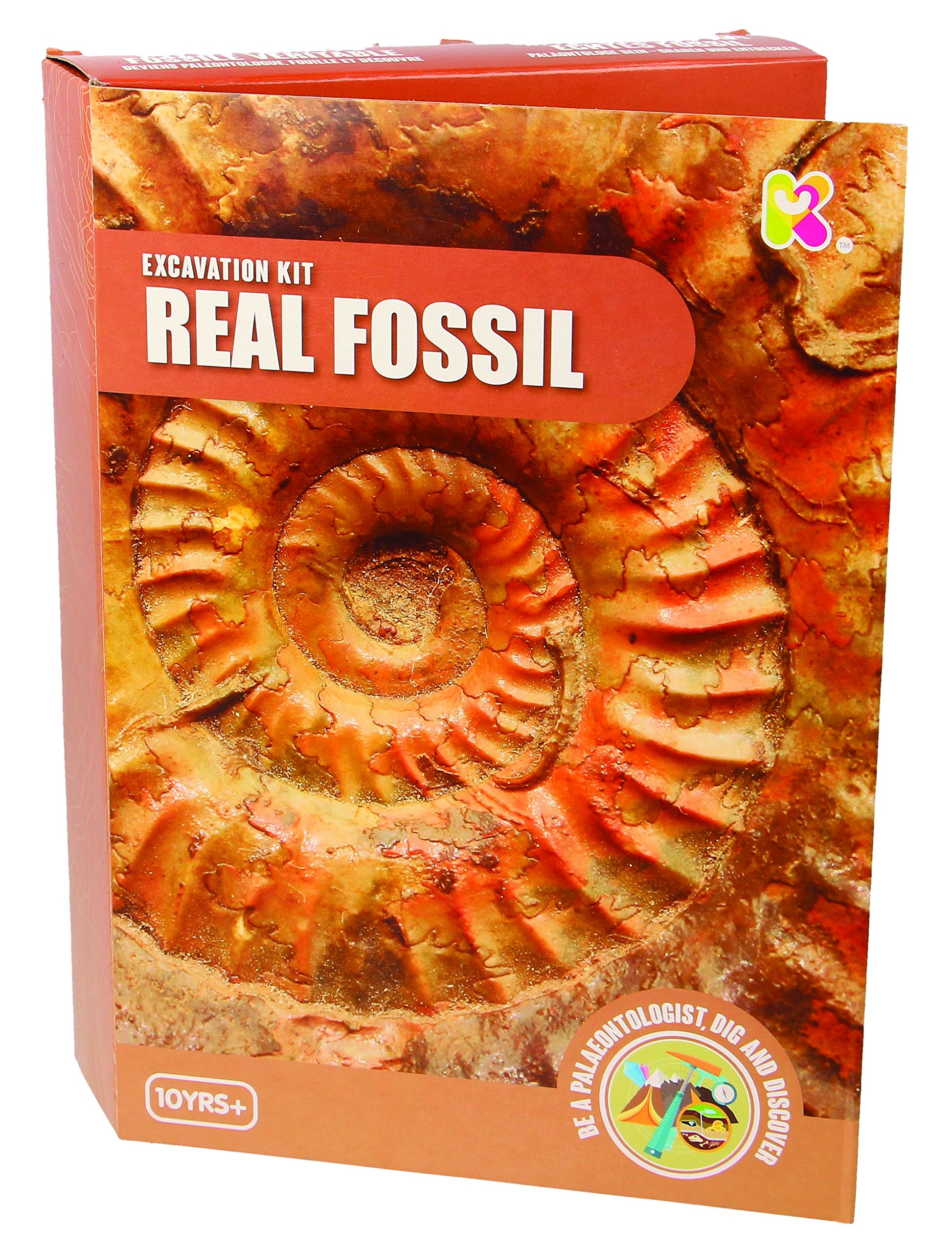 WW   Global  Trading Childrens Educational Activity - Fossil Dig Kit Ages 10+
