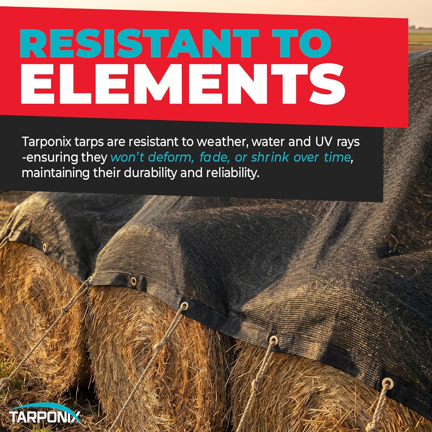 Heavy Duty Black Shade Cloth Mesh Tarp – Finish Size 6 x 8 FT with Grommets – Sun Shade for Garden, Plants, Greenhouse, Patio, Fences & Dump Trucks