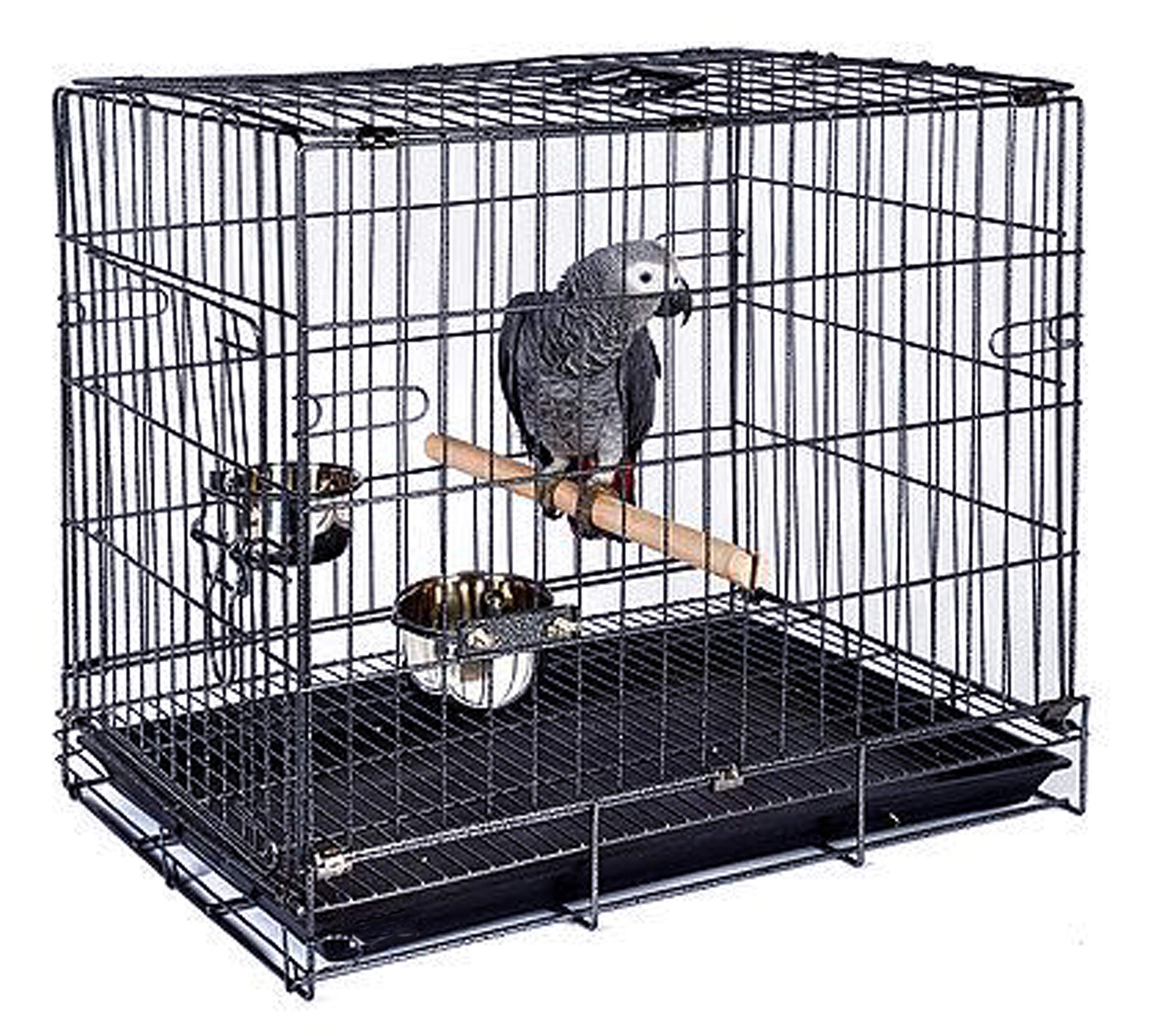 Durable Easy Portable Collapsible Metal Travel or Veterinary Collapsable Parrot Bird Carrier Beaks-Proof Easy Clean Carrier Cage with Stainless Steel Feeder Bowls Natural Wooden Perch