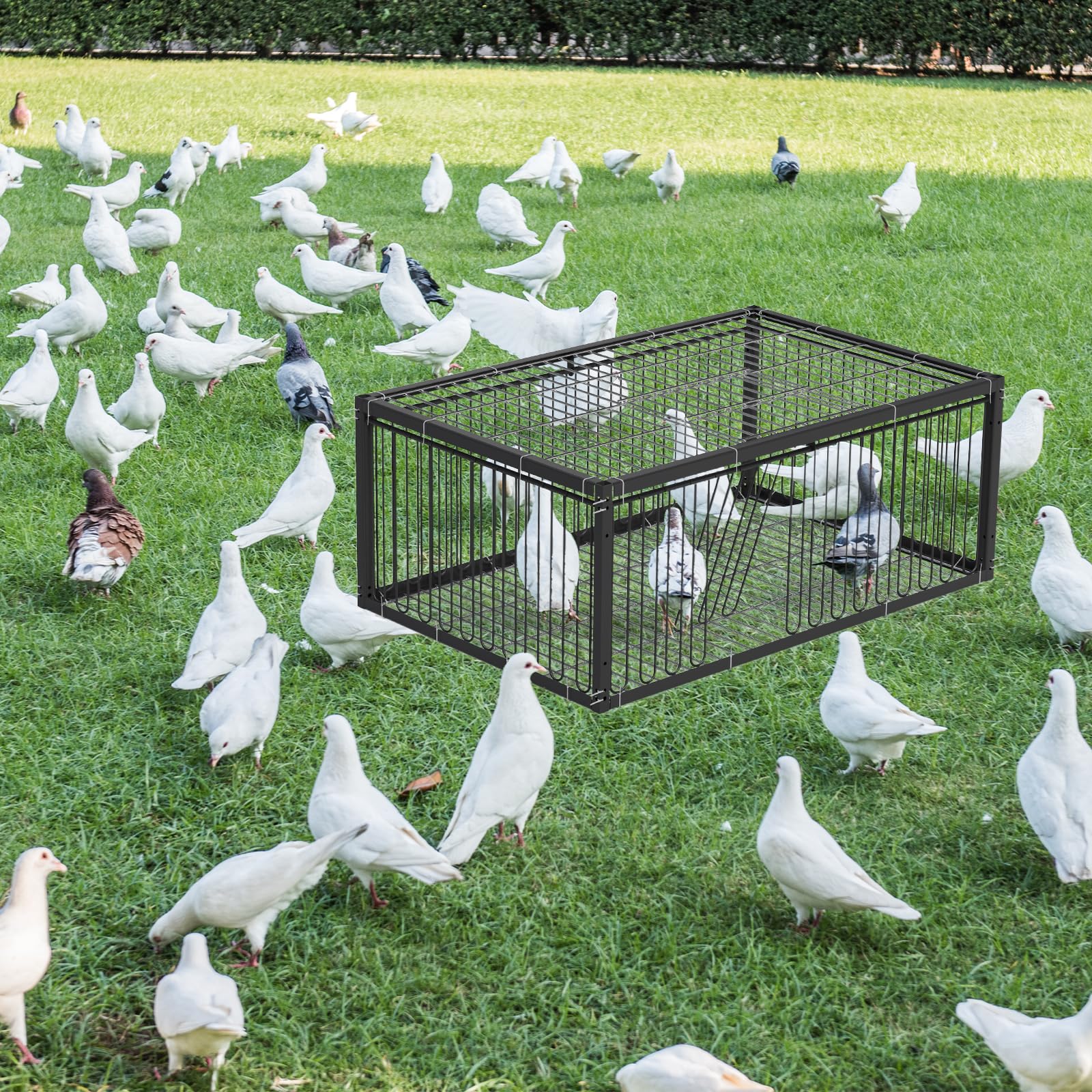 Jaula para palomas con diseño a prueba de fugas, pequeña jaula para palomas y pájaros, entrada plegable desechable, exterior, terraza, jardín, jaula de granja para palomas, gorriones, ratones