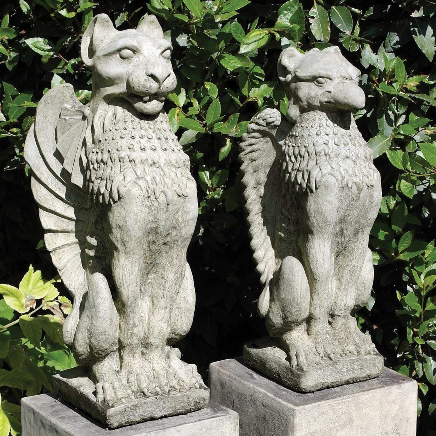 Gothic Griffin & Lion Stone Garden Statues Amazon.co.uk Garden