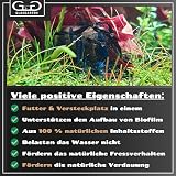 Ver la foto 6