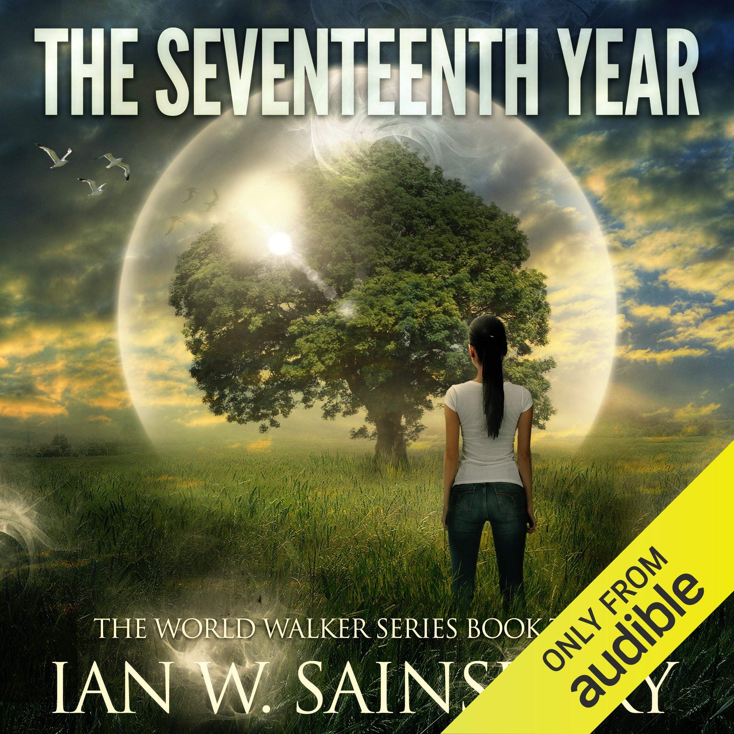 Cover art for The Seventeenth Year