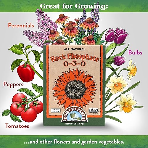 Miniatura 3 de Down To Earth All Natural Fertilizers Fosfato de roca 0-3-0, caja de 5 lb Alimento vegetal orgánico Fosfato de calcio para macizos de flores y