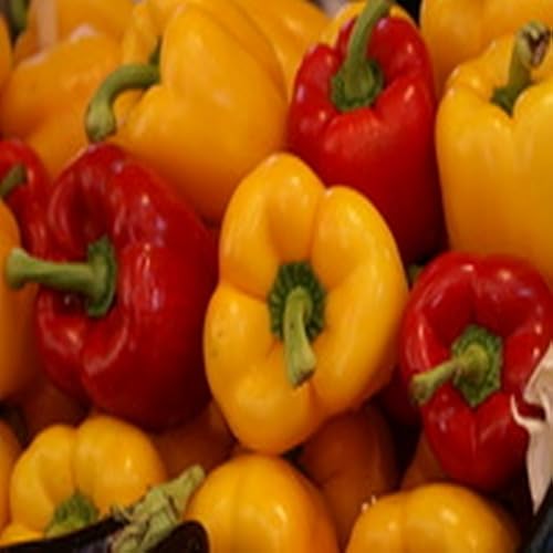 Pasta Carbonara - //medicalbooks.filipinodoctors.org