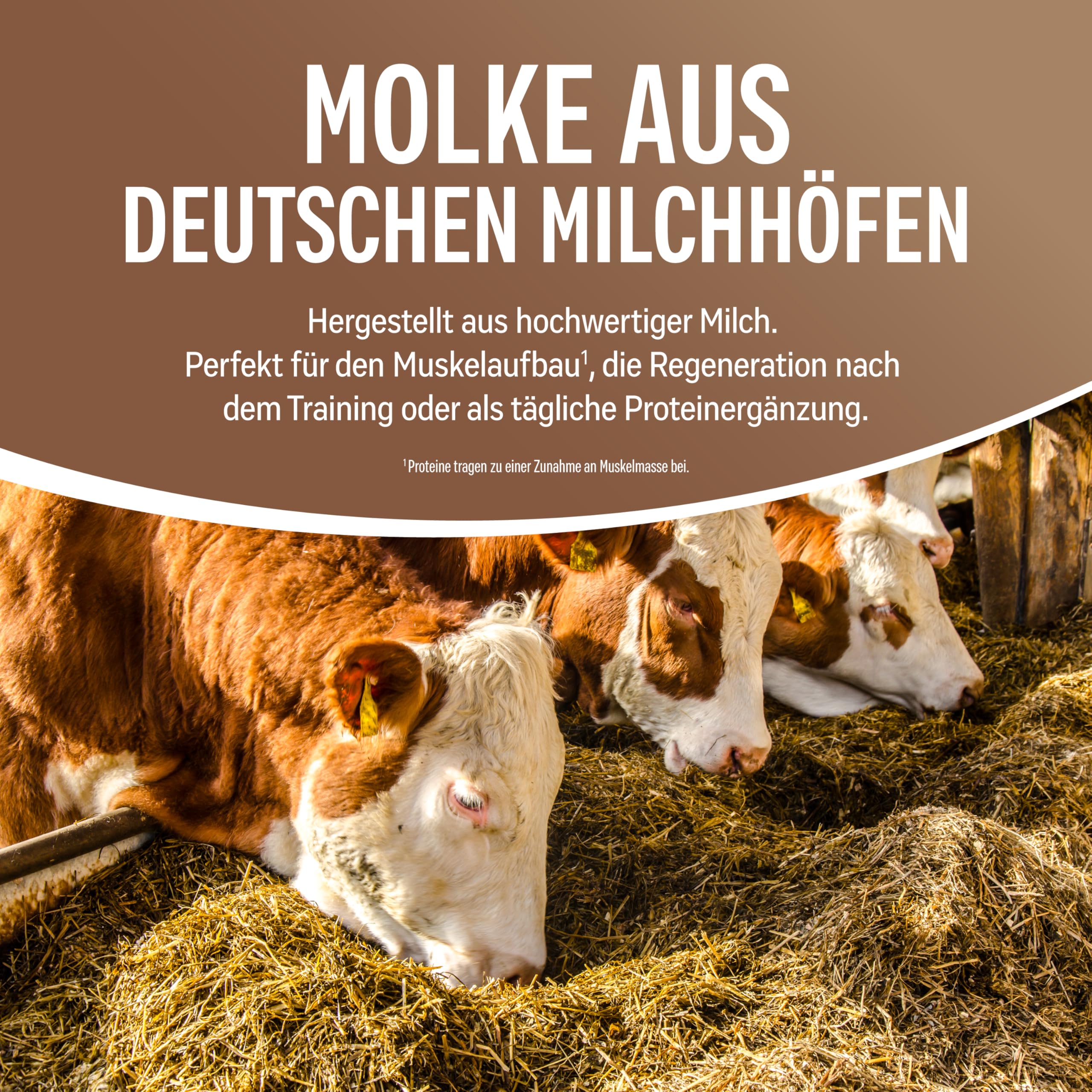 NATURELETICS SCHOKO Whey Protein Ungesüßt ohne Süßstoffe und Zuckerzusatz Natürliches Premium Eiweißpulver, 1kg ohne Aspartam & Sucralose, Low Carb, Hoher BCAA-Anteil, Made in Germany