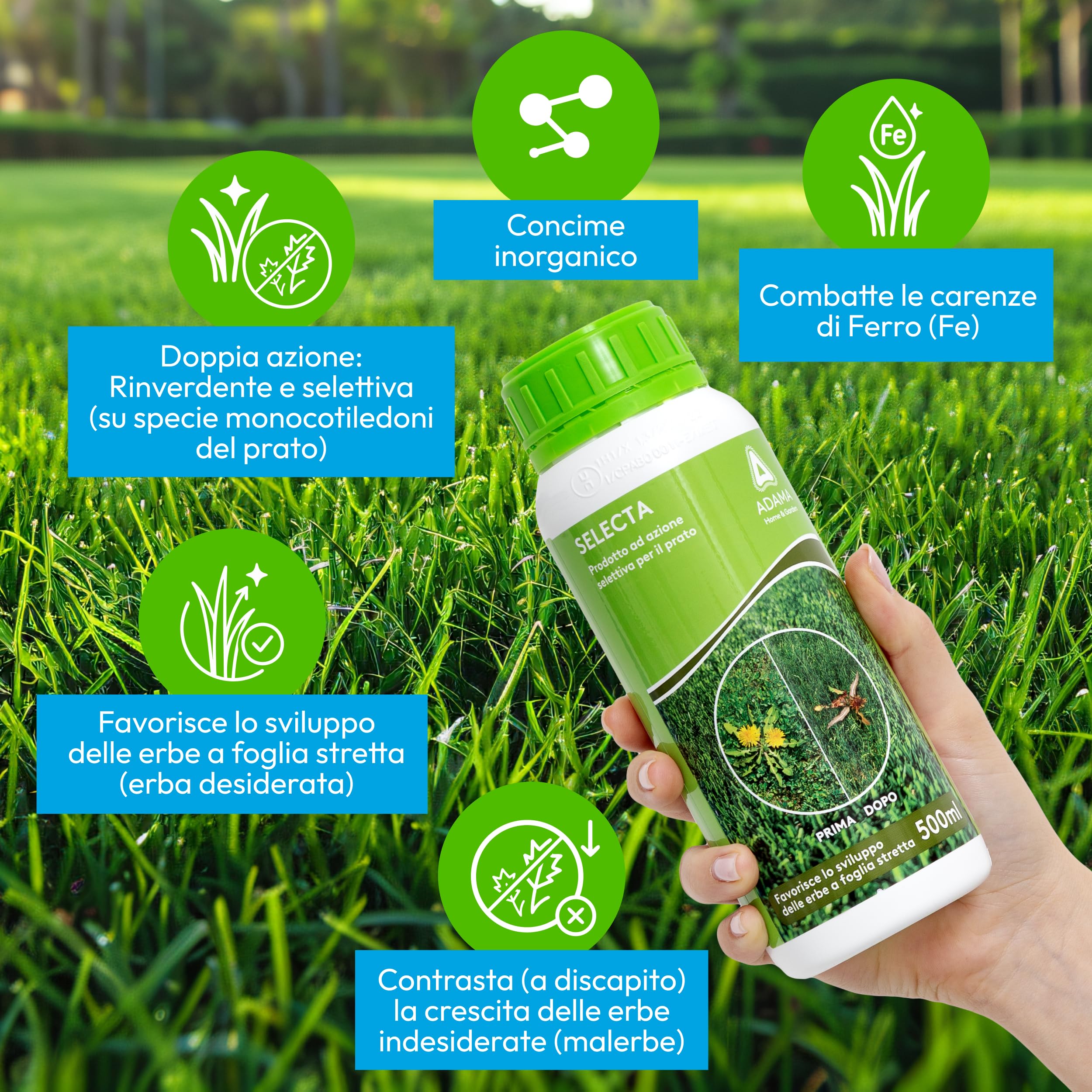 Adama Fertilizzante per Prato – 500 ml. Selecta Fertilizzante per Tappeti Erbosi con Ferro Chelato 4,5%. Rinverdente Rapido, Nutre il Prato e Migliora l’Uniformità del Verde.