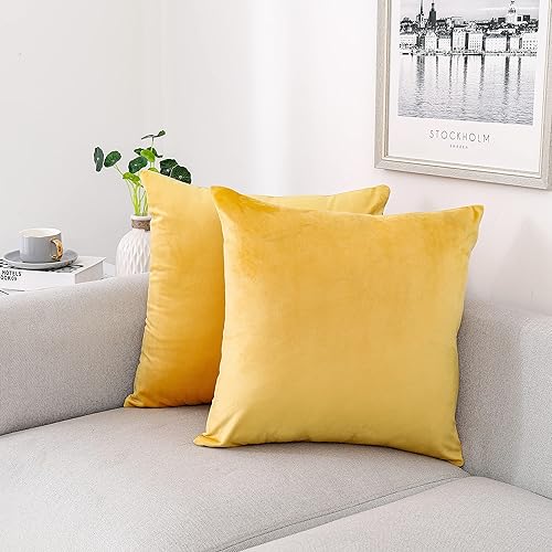 Vista 29 de NiNi ALL Fundas de almohada decorativas de terciopelo suaves para sofá, dormitorio, sala de estar, exteriores, paquete de 2 unidades, 18 x 18 Aqua