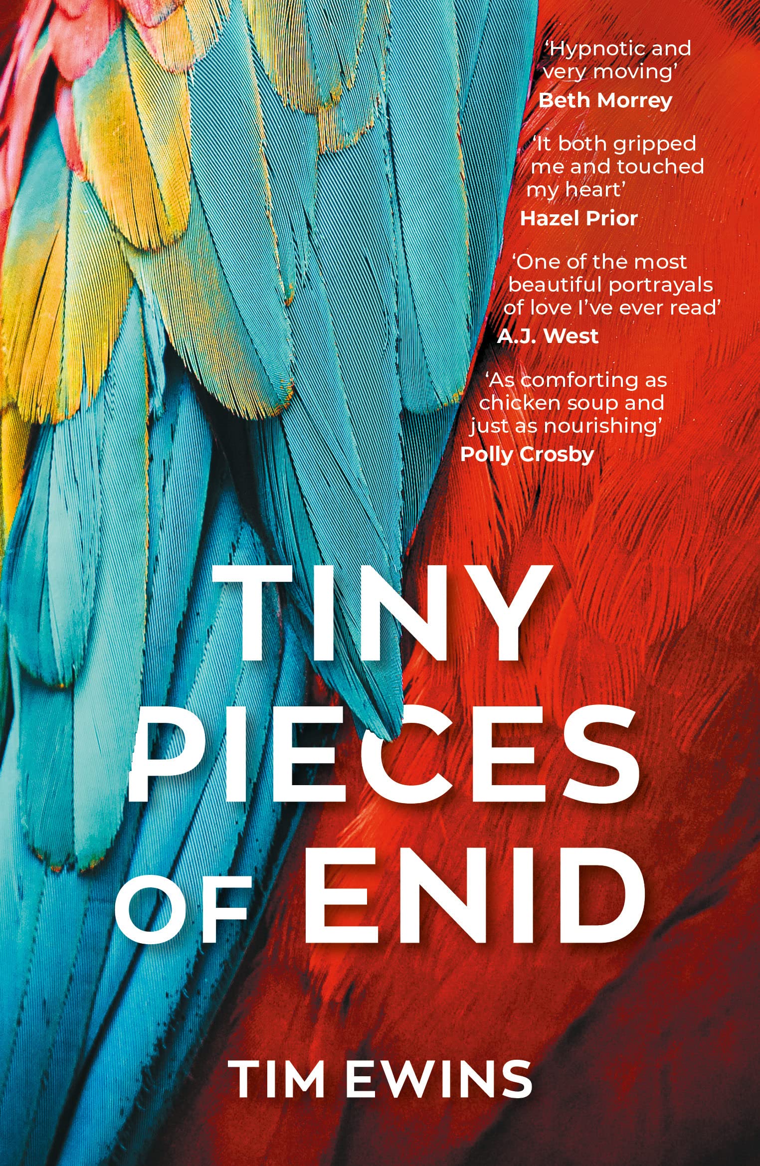 Tiny Pieces of Enid By Tim Ewins