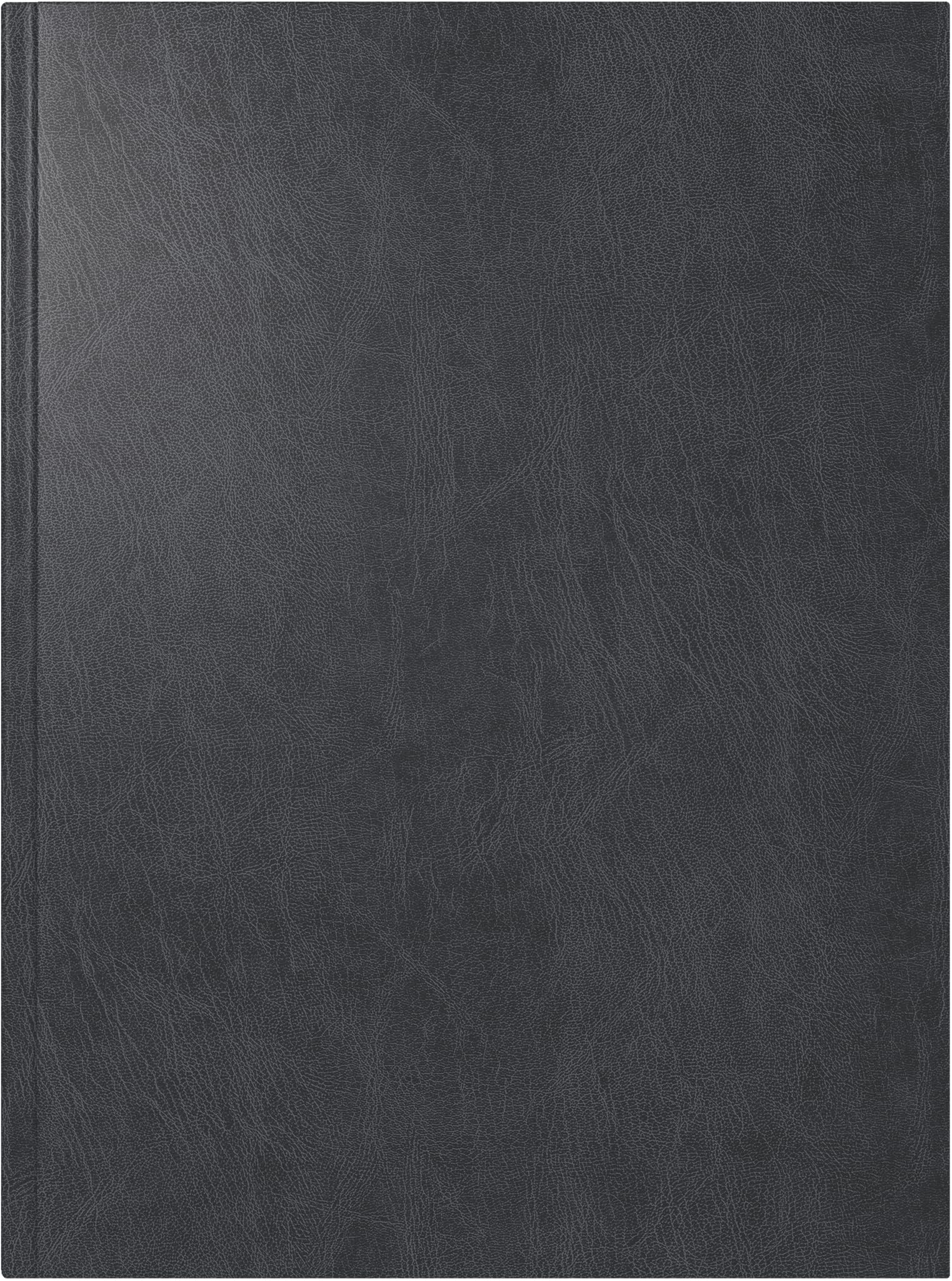 rido/idé Book Calendar Model Mentor (2025), 1 Page = 1 Day, A5, 352 Pages, Miradur Cover, Black