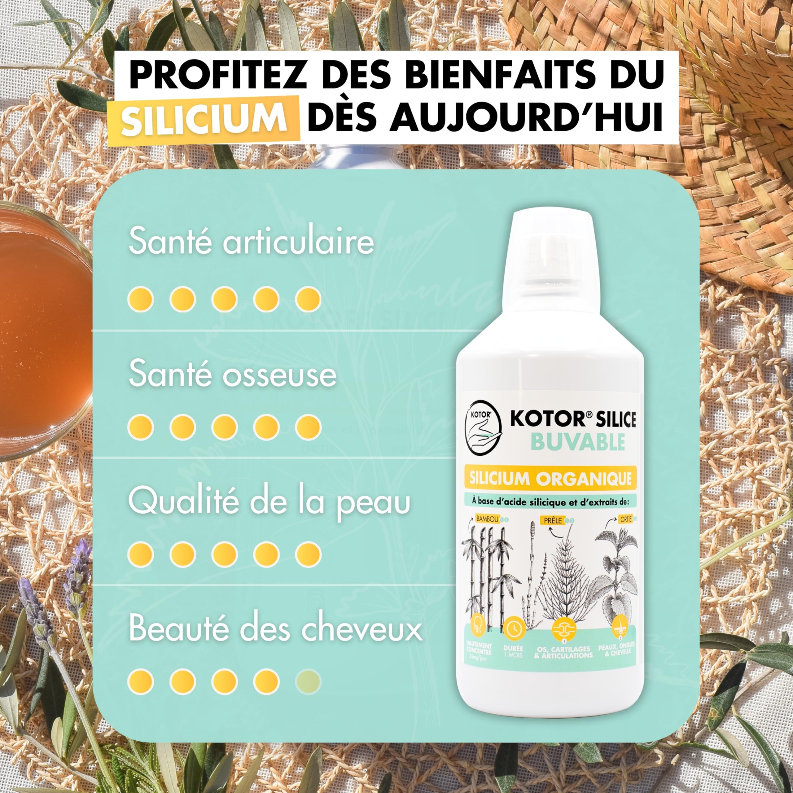 KOTOR SILICE BUVABLE 1L | Lot de 2 | Silicium Organique Naturel et Francais | Fortement Dosé | Articulations, Os, Cartilages, Peau, Ongles, Cheveux | Silicium + Bambou + Ortie + Prêle