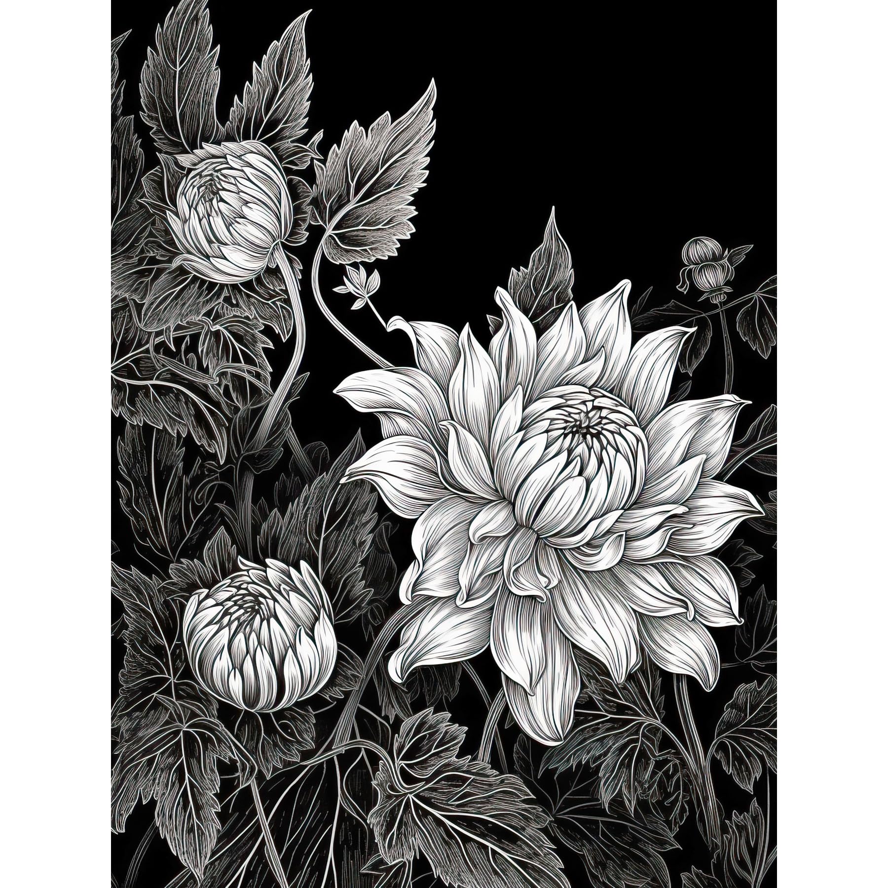 Artery8 Detailed Black and White Dahlia Flower Blooms Large Wall Art Poster Print Thick Paper 18X24 Inch