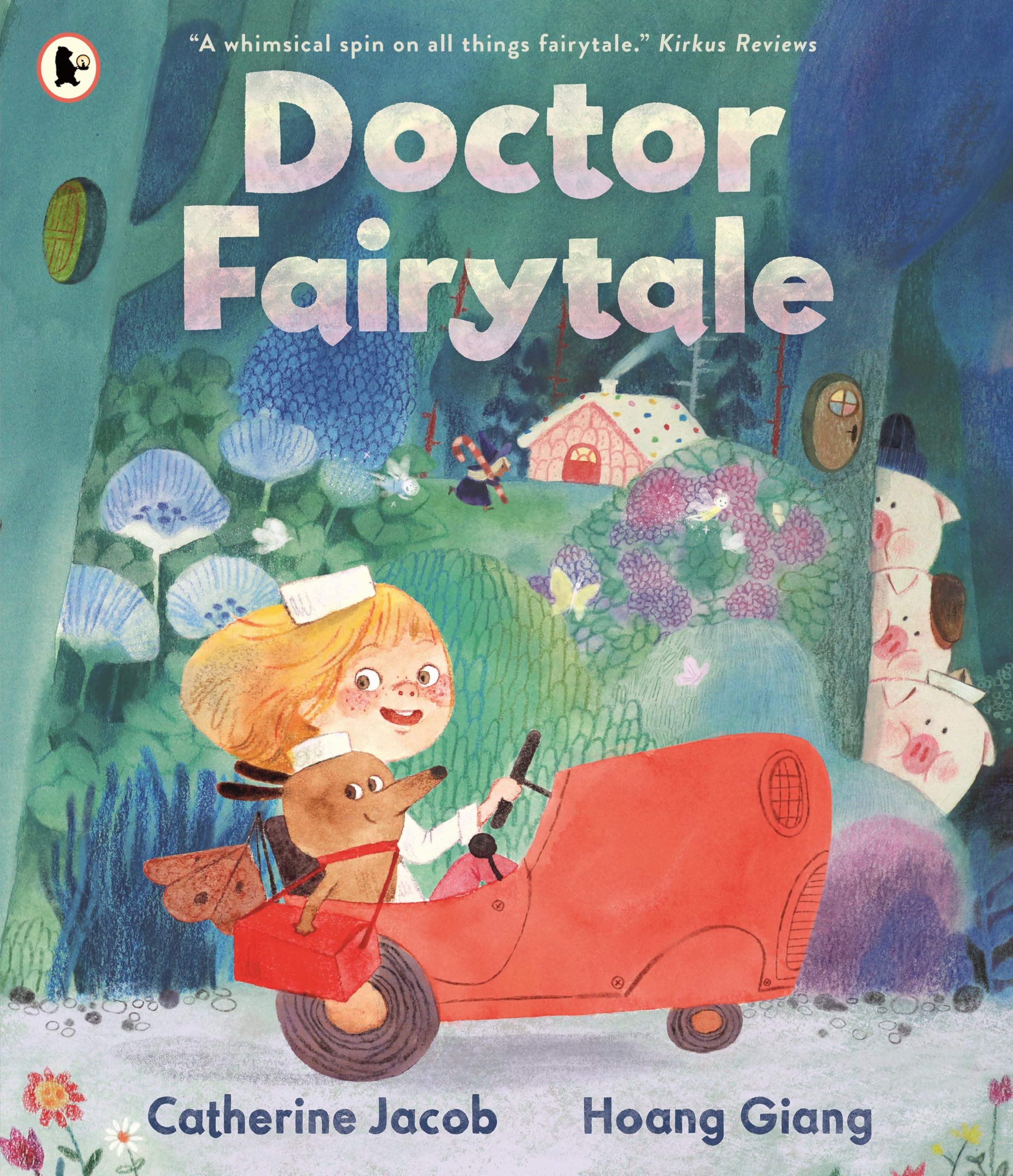 Doctor Fairytale by Catherine Jacob Paperback