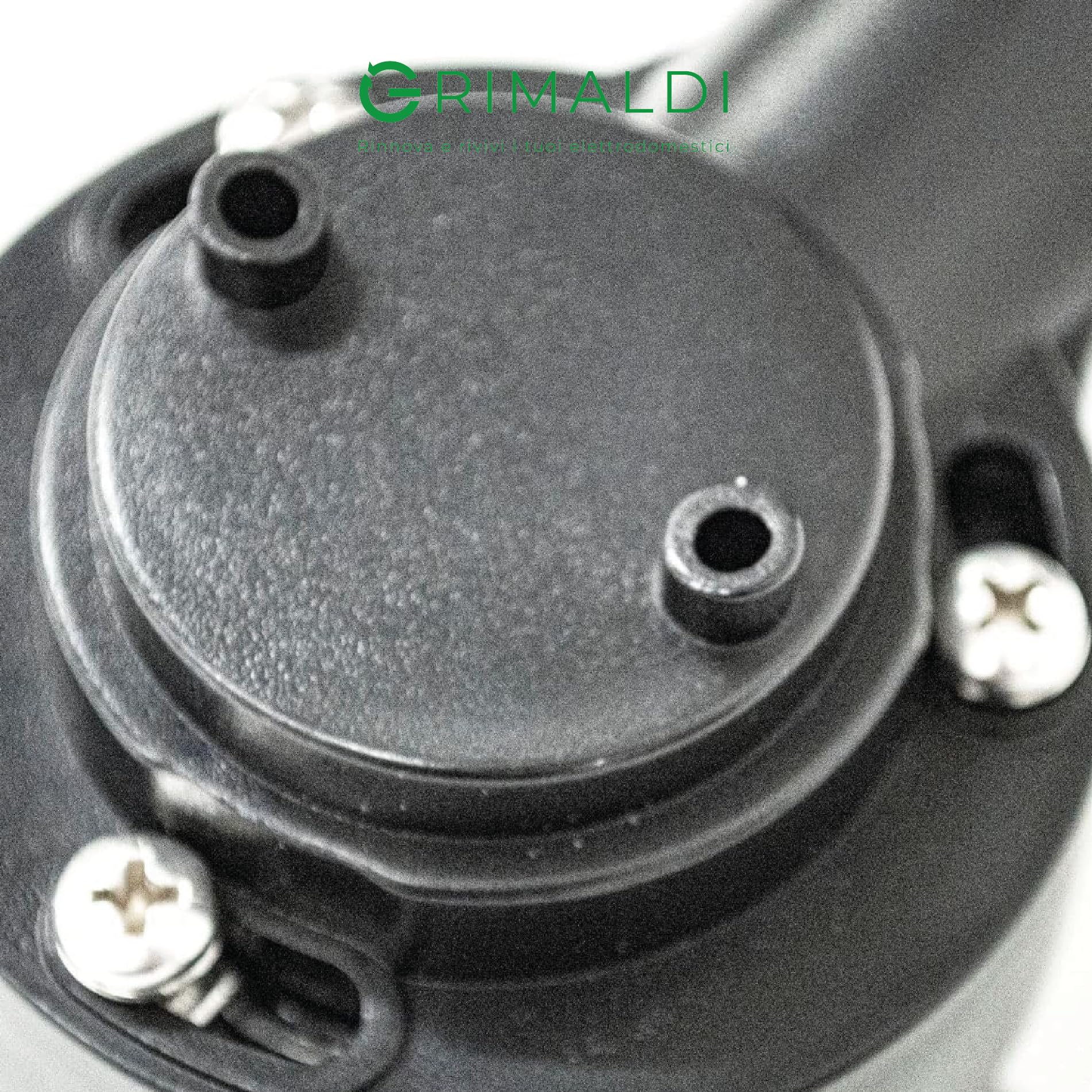 G GRIMALDI Portafiltro Pressurizzato Compatibile con Saeco 41210006 — Articolo per Macchine da Caffè Espresso Braccetto Completo con Filtro 2 Tazze (Escluso Nina)